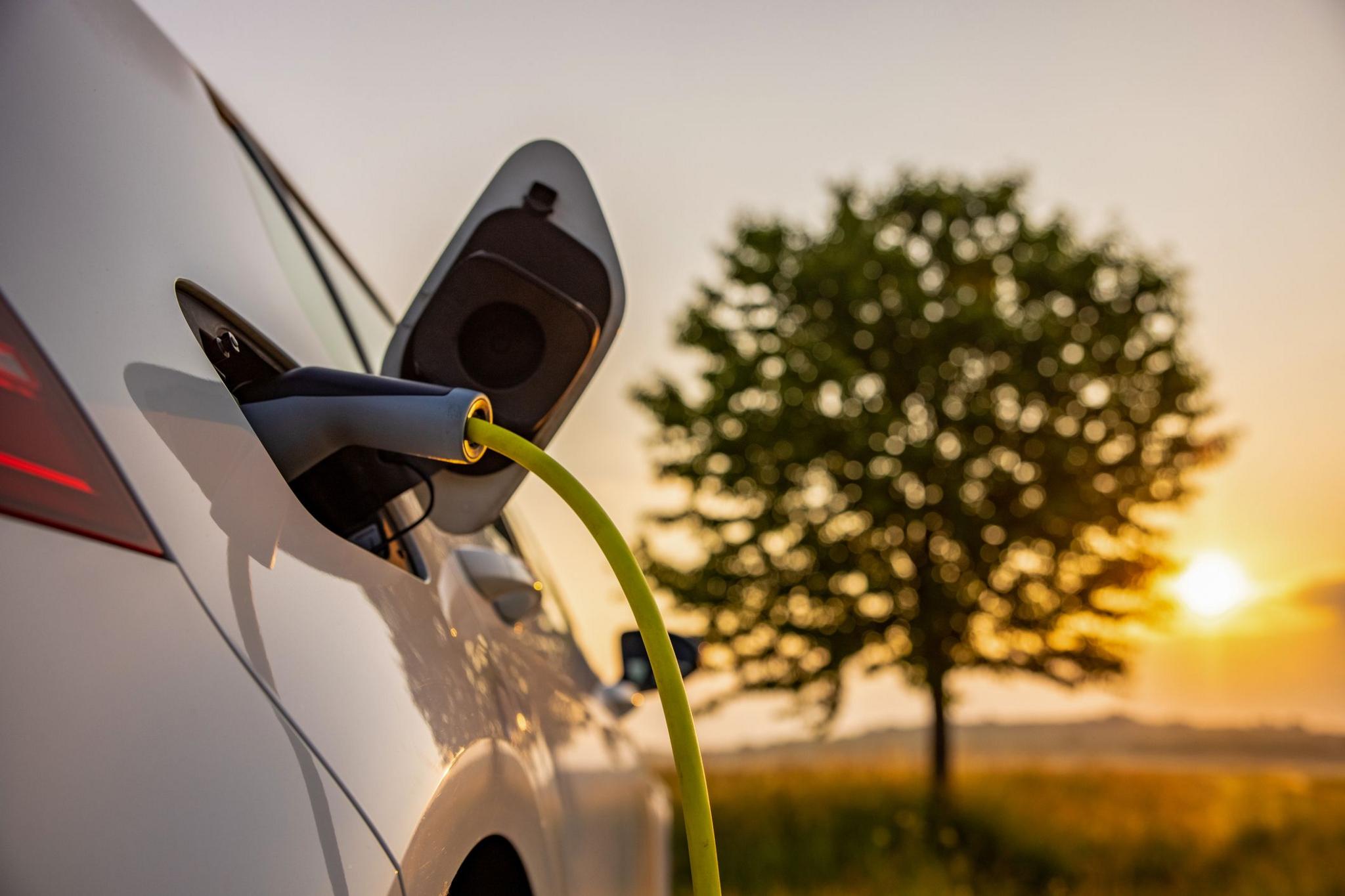 An electric car is parked opposite a tree. An electric charger is fitted to the car. The sun is shining and low in the sky.