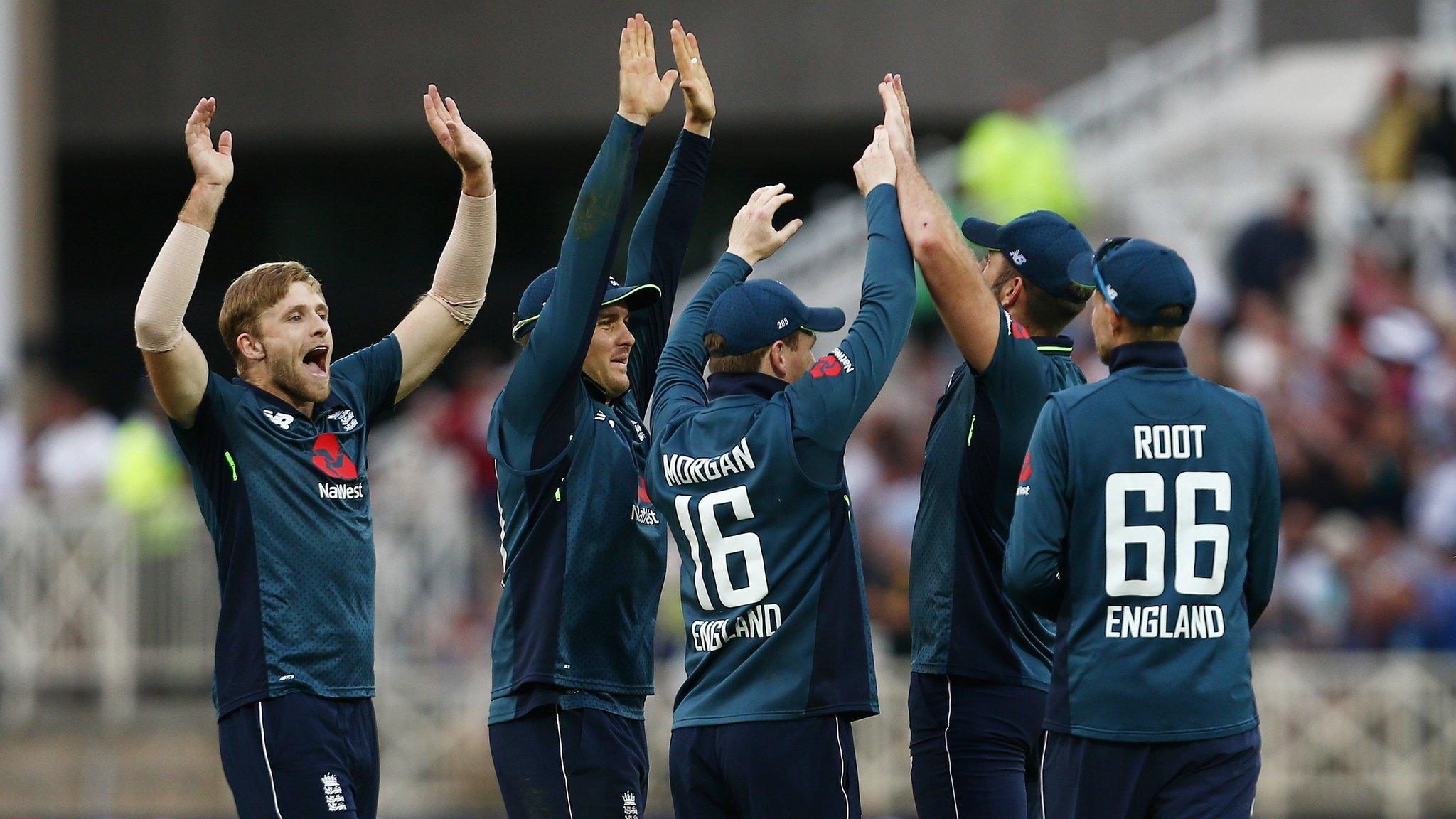 England celebrate a wicket