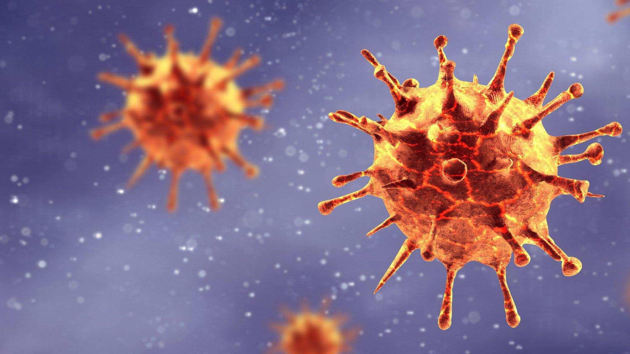 Visualisation of coronavirus