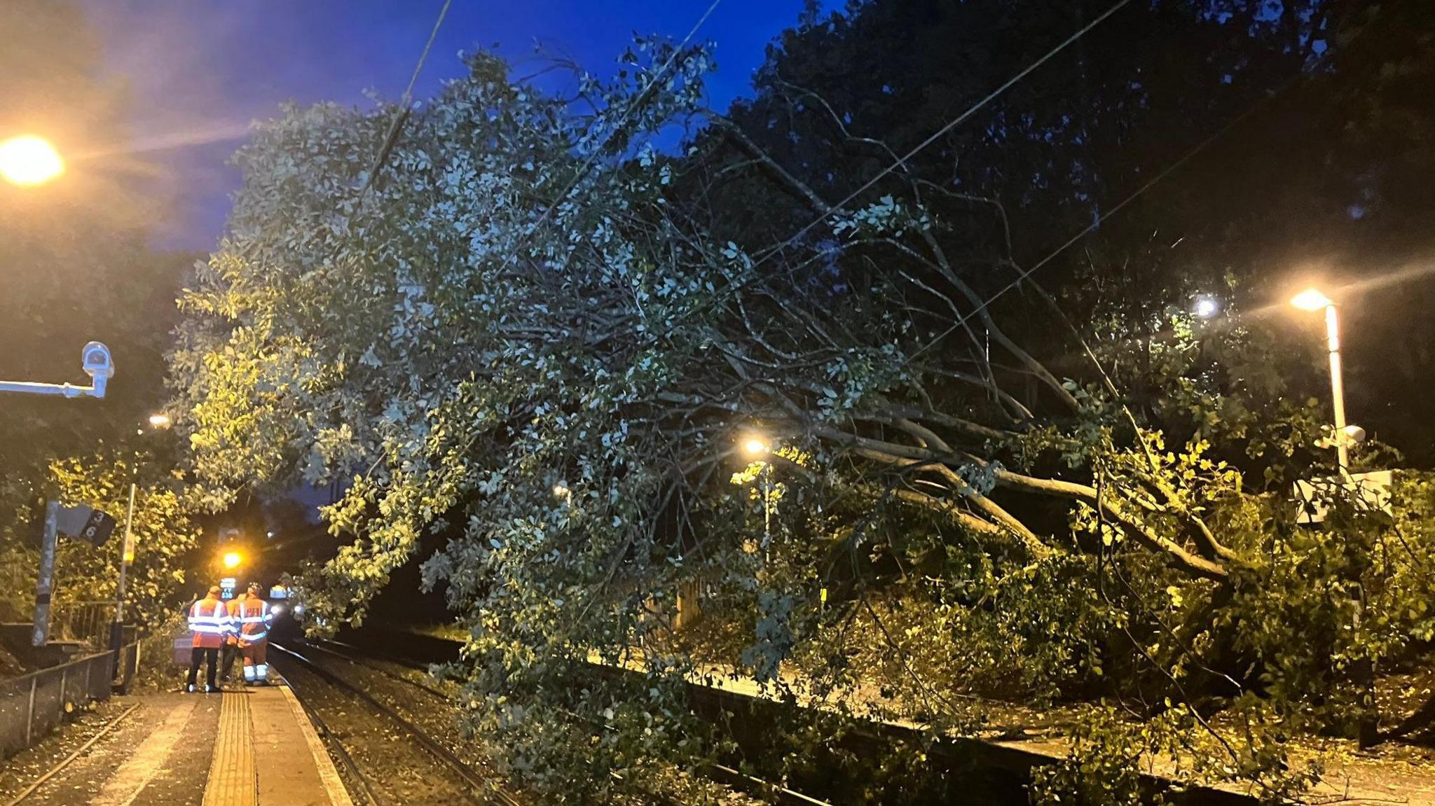 A large tree over a track with engineers in orange high vis outfits alongside