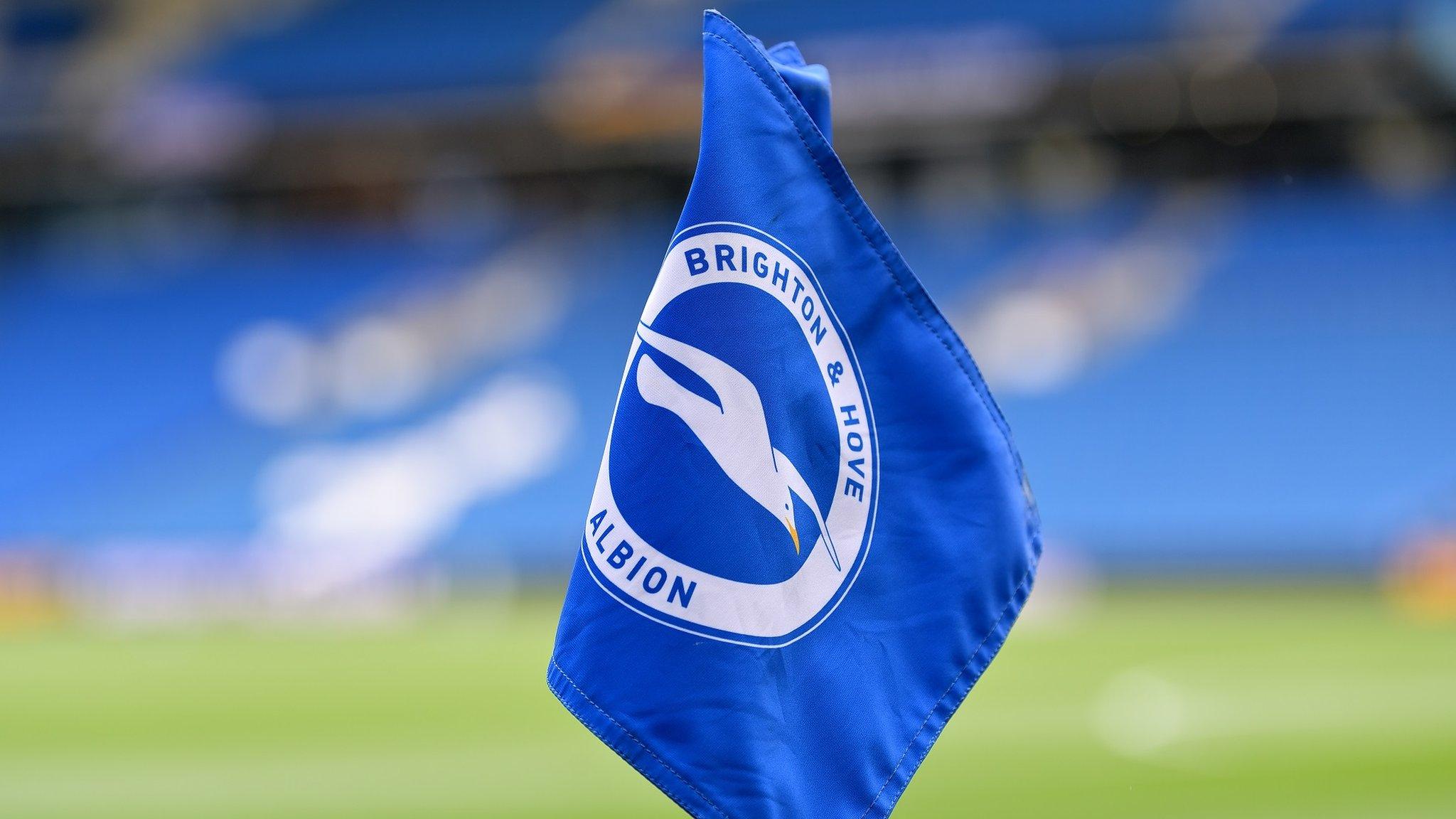 Corner flag at Brighton's Amex Stadium