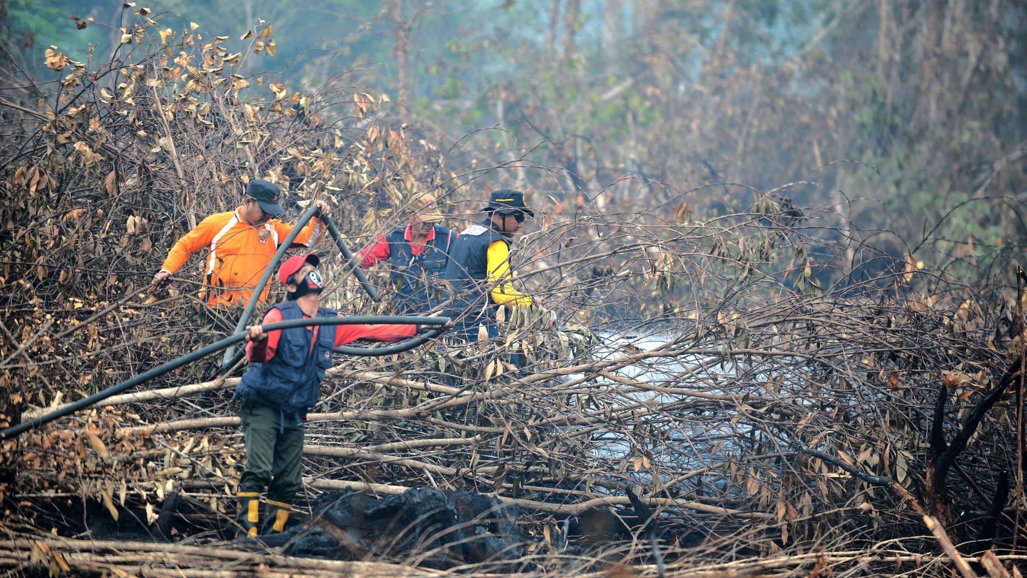 Fire fighters try to put out fires in forest and peatlands surrounding Palangkaraya city in Central Kalimantan.