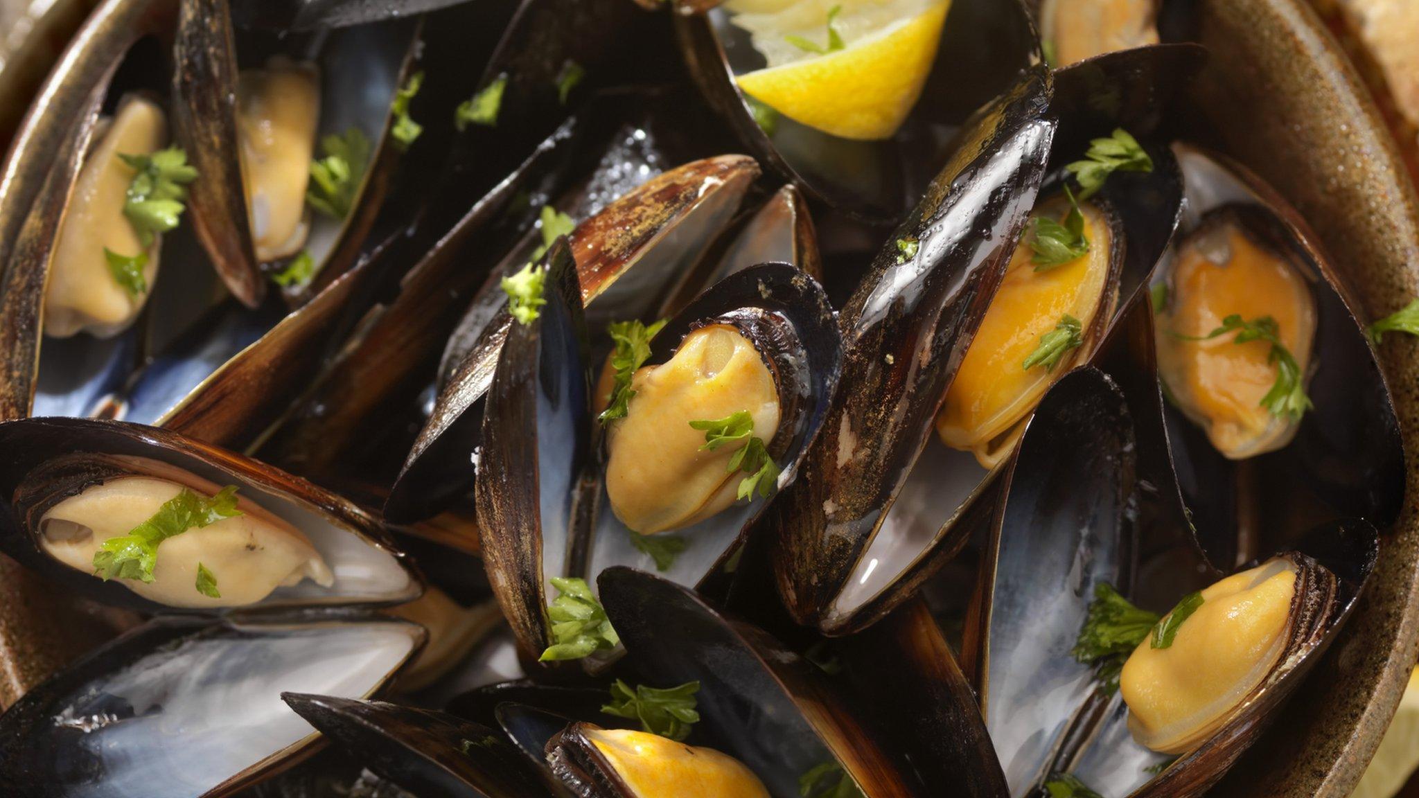 Steamed mussels