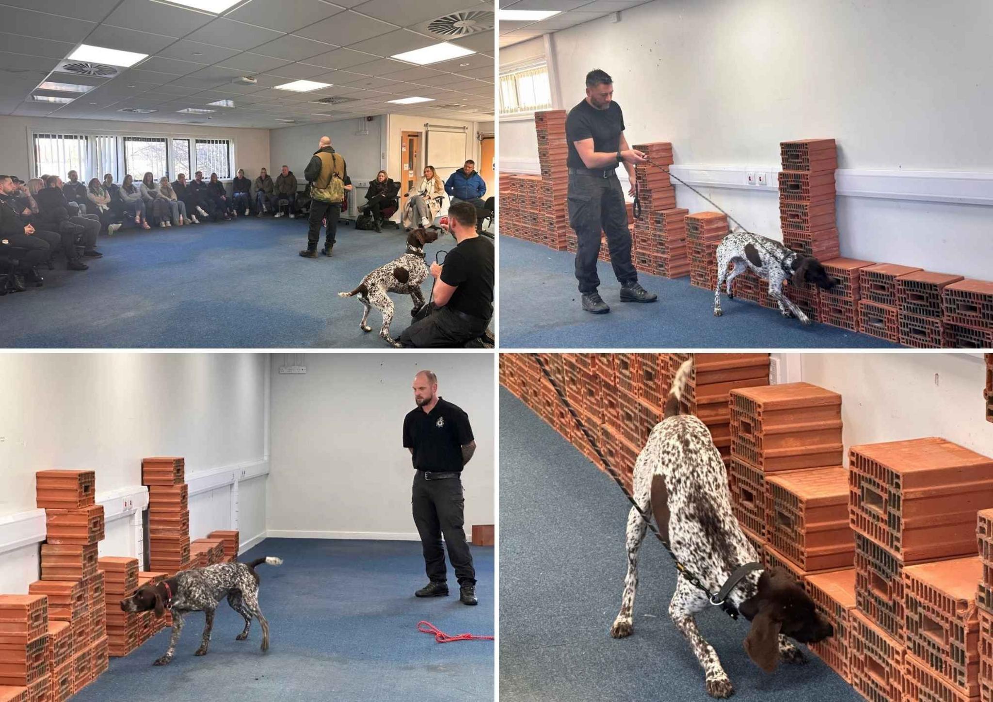 Four pictures of one of the dogs showing officers in a large meeting room how they can sniff digital items out.  