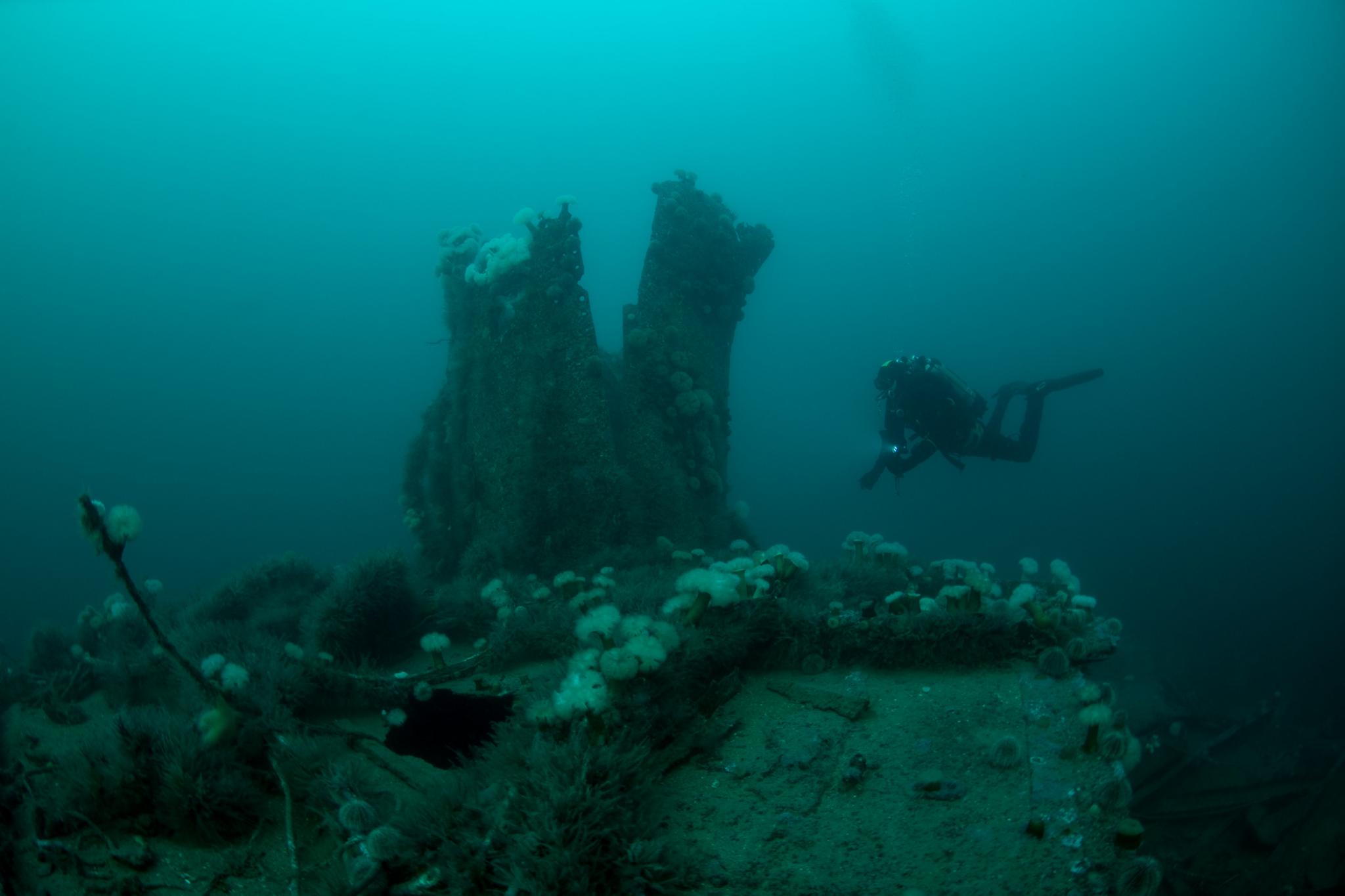 Scapa Flow dive