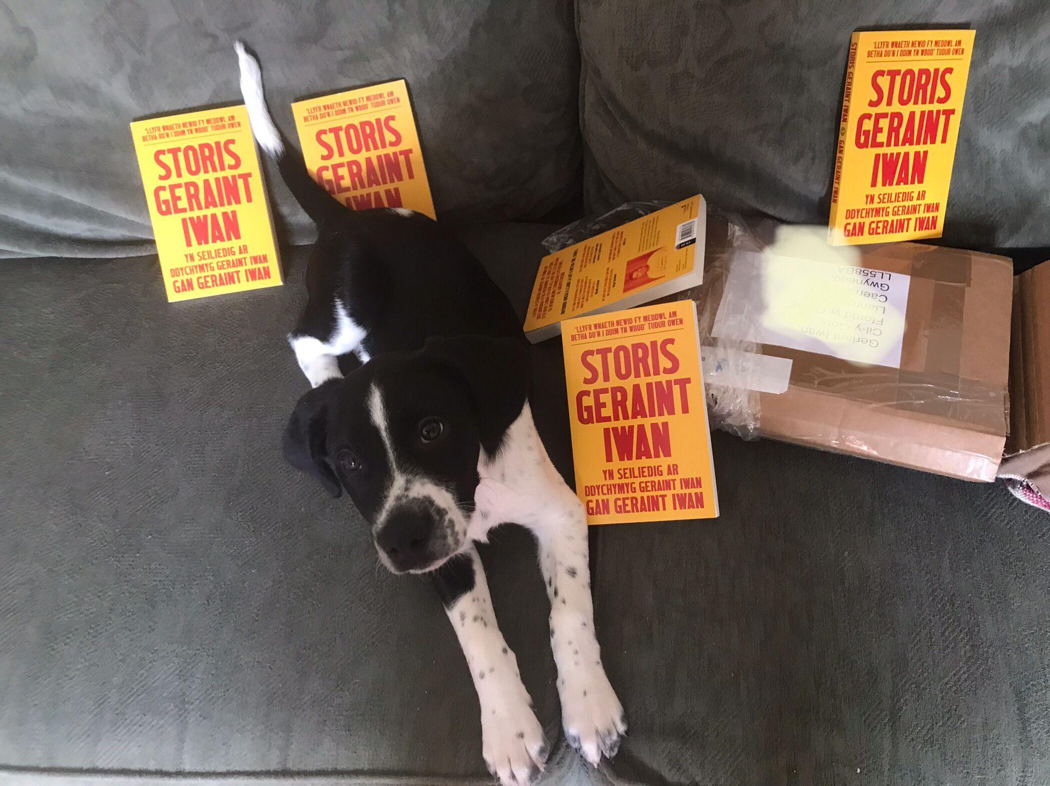 George Michael, ci Geraint yn edrych ymlaen at ddarllen ei straeon...