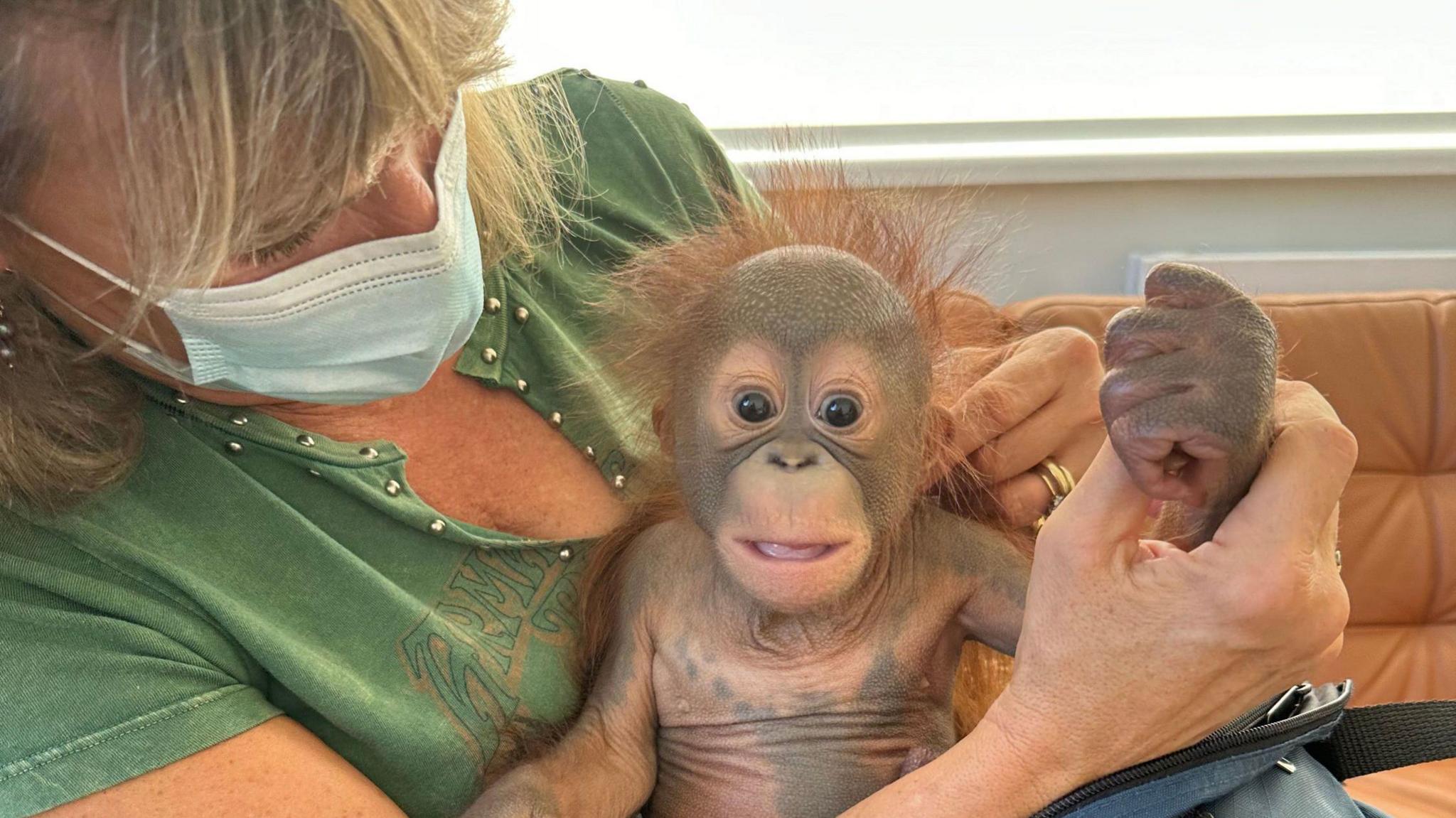 Dr Alison Cronin sits on a tan leather sofa, she has short blonde hair with a fringe and is looking at baby Sibu Junior, she wears a medical face mask and is holding his hand. Sibu is looking directly at the camera.