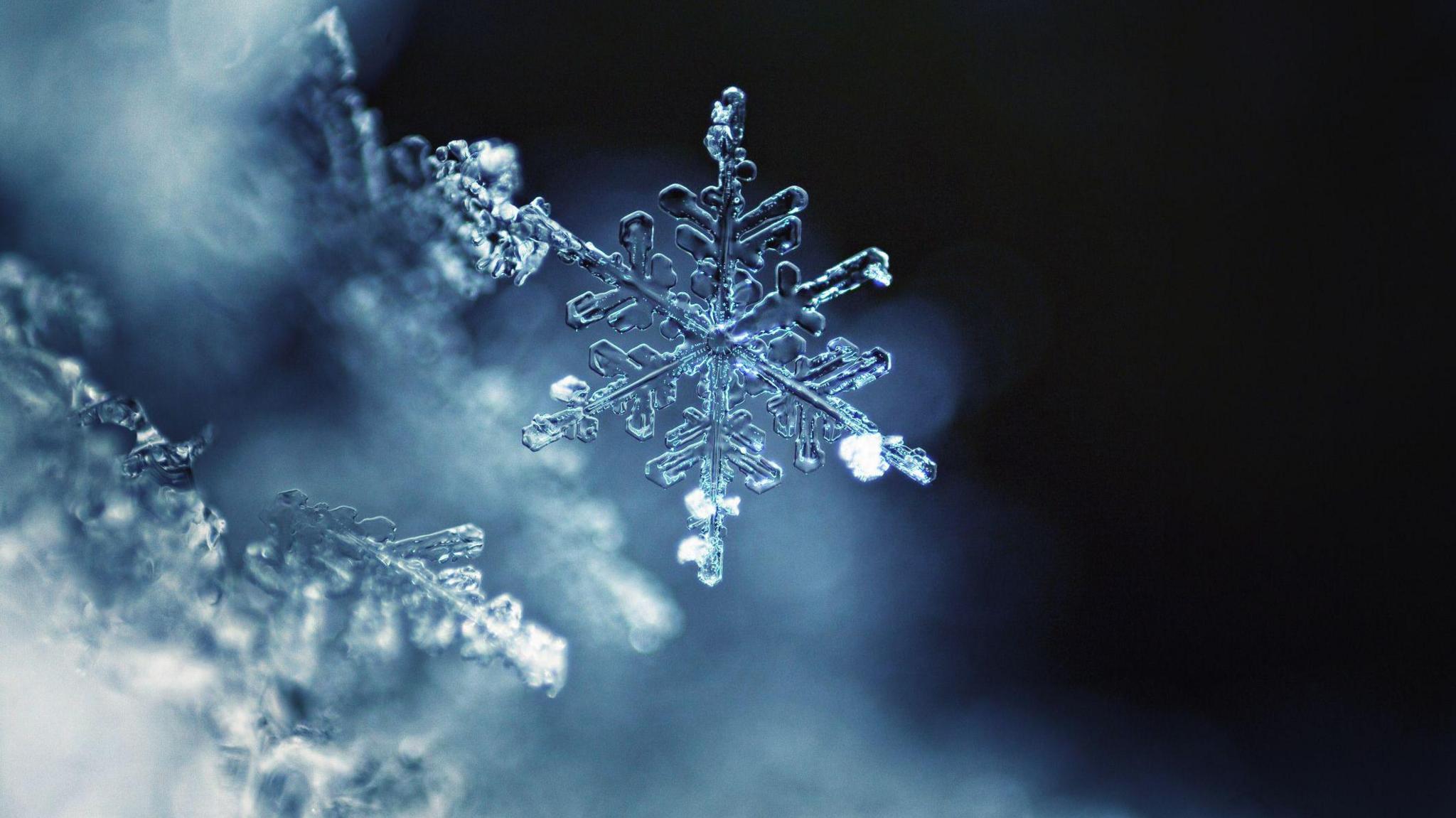 Close-up magnified image of an intricate six-pointed snowflake