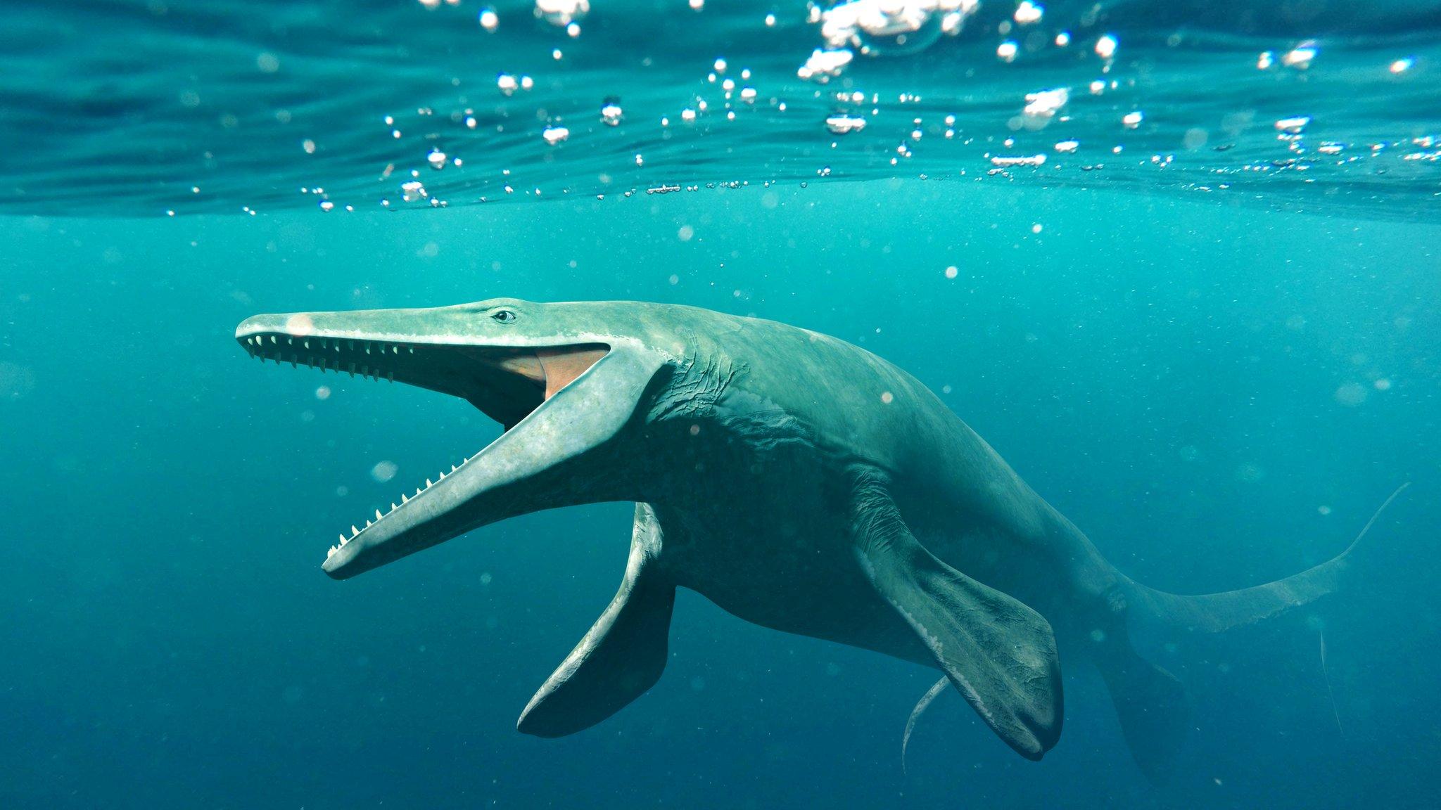 The Basilosaurus.