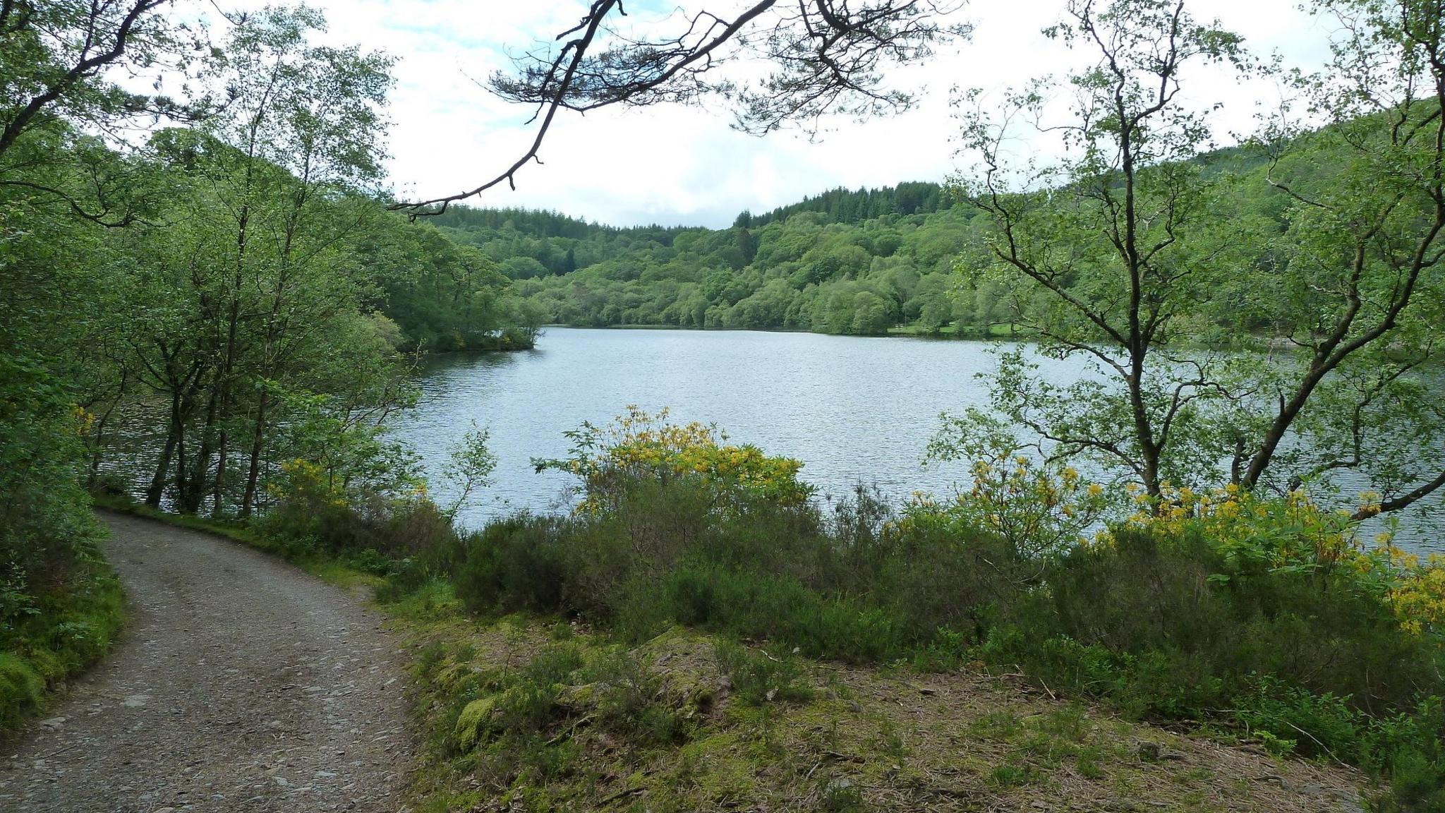 Llun o Llyn Mair gan Geograph/Peter Bond