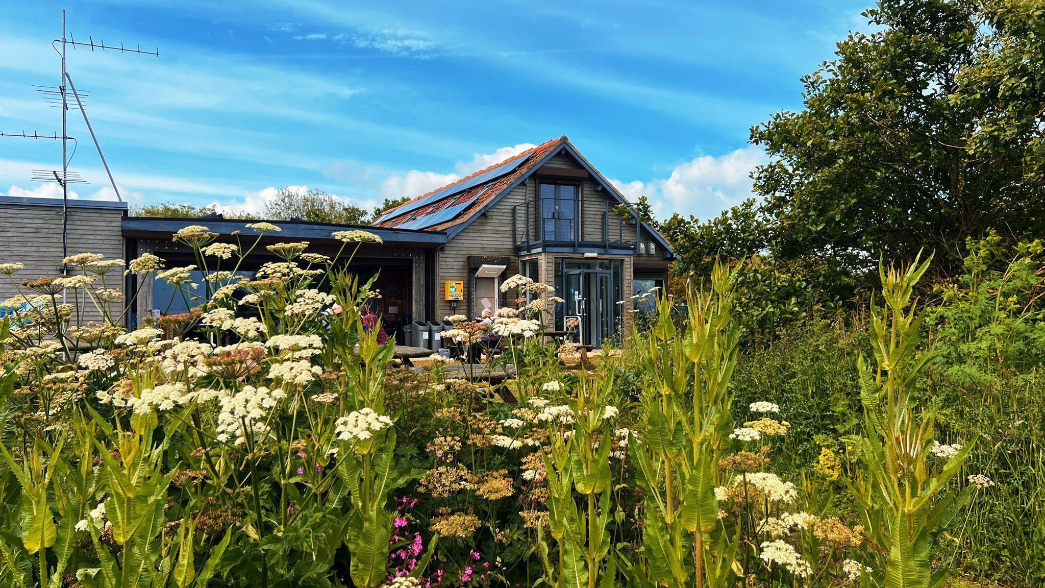 A wooden chalet behind a field of wildflowers