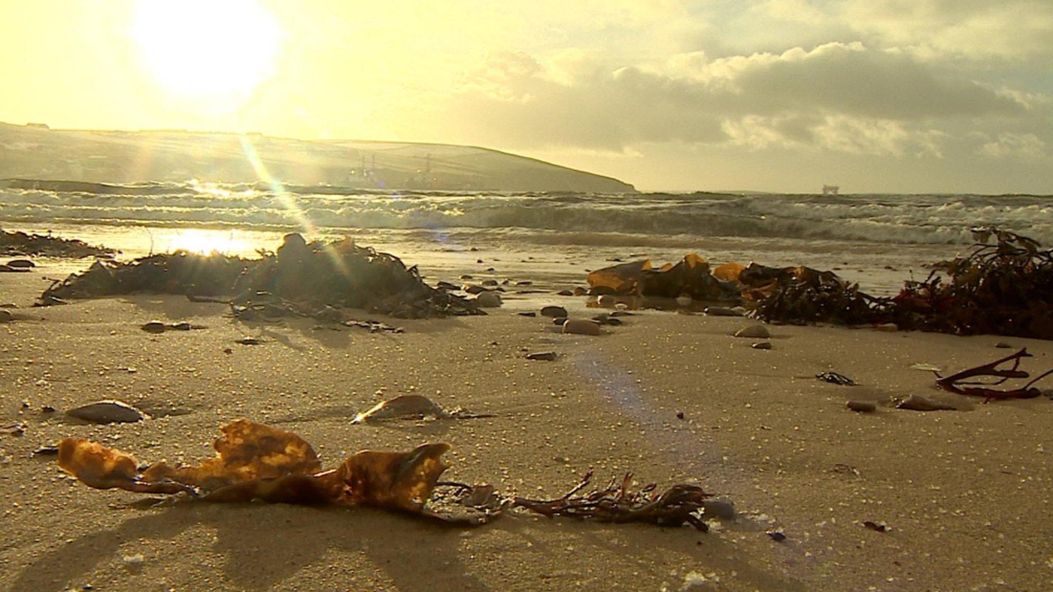 Orkney beach