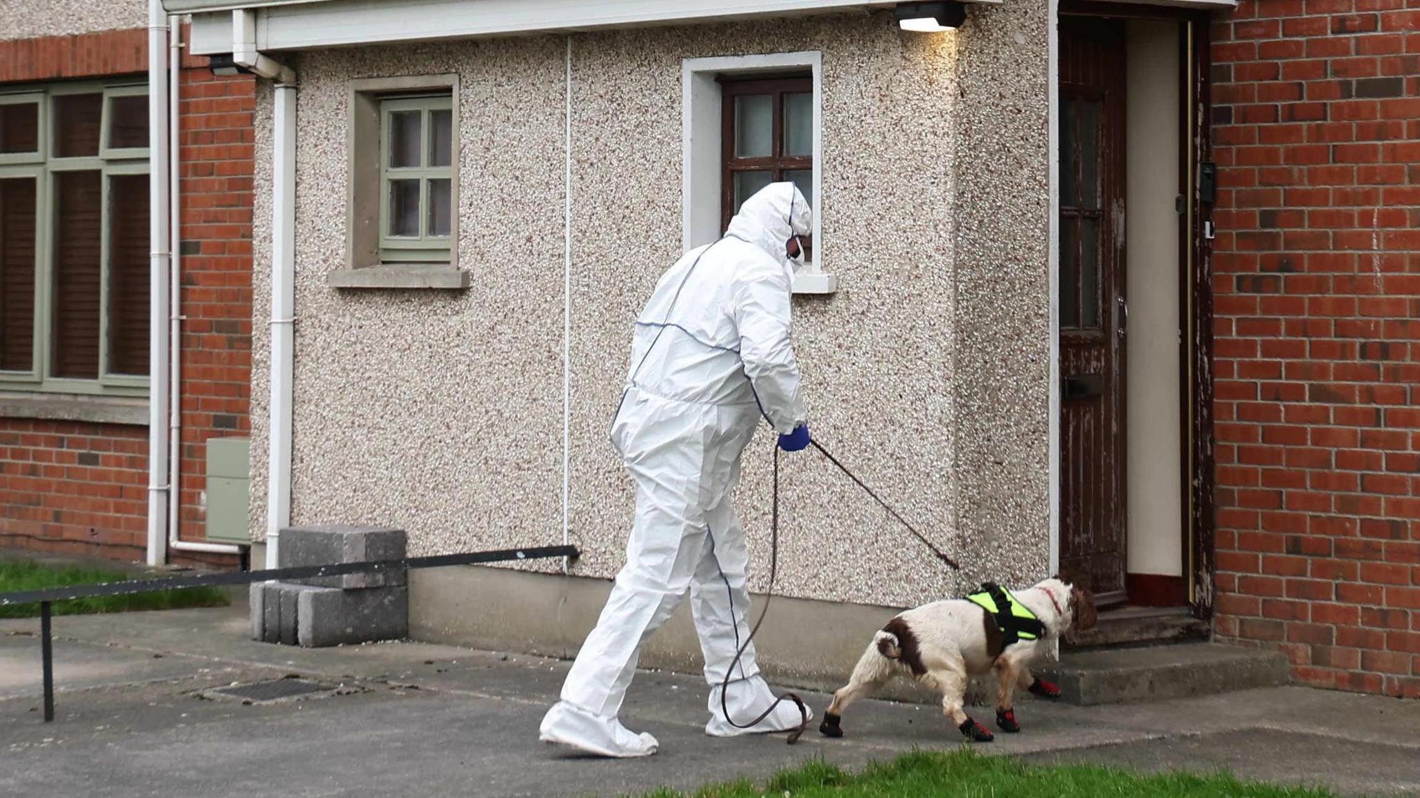 A man, in a white forensic outfit, walking a dog into a house.