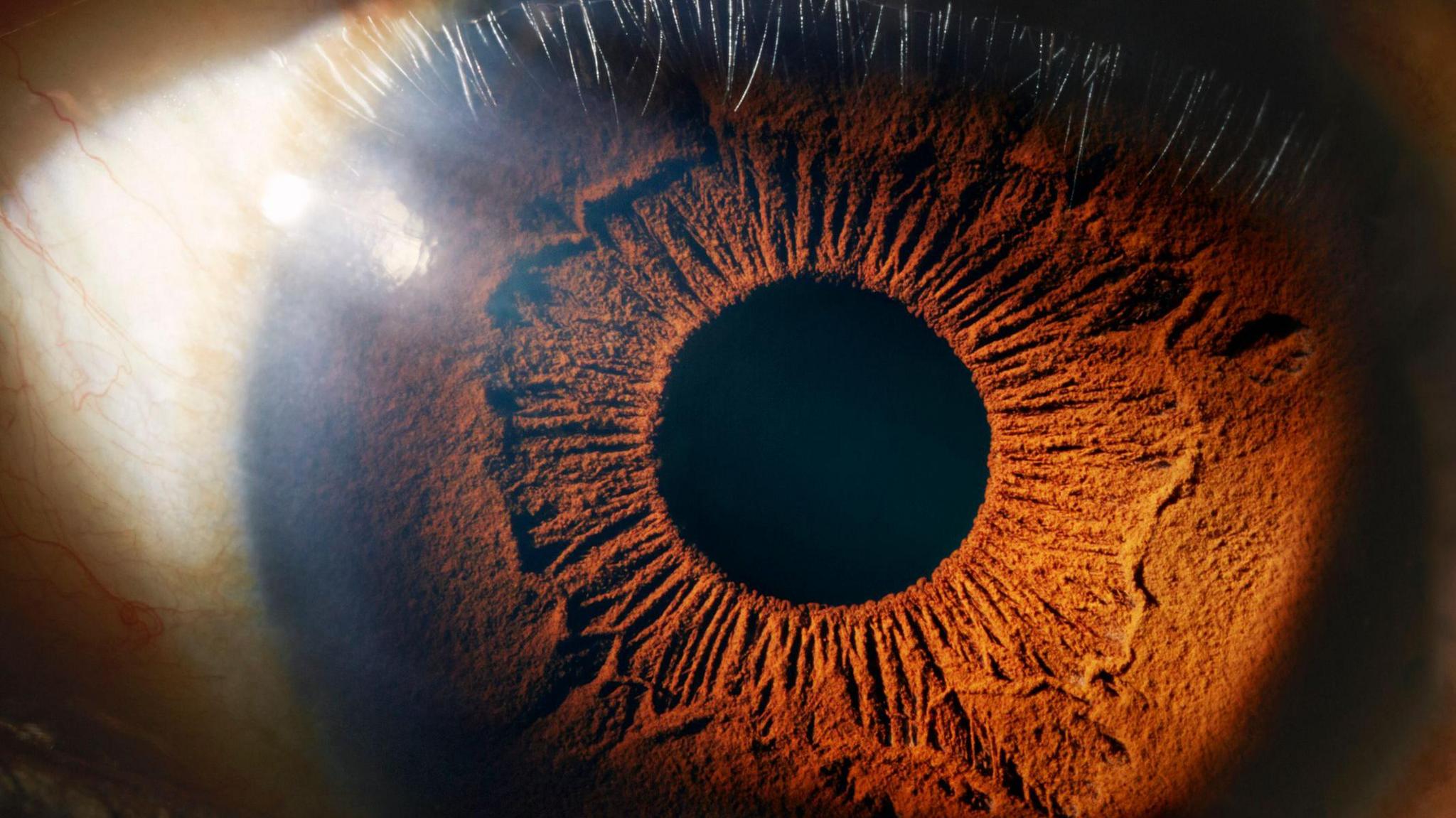 Close-up of an eye showing the details in the iris and sclera.