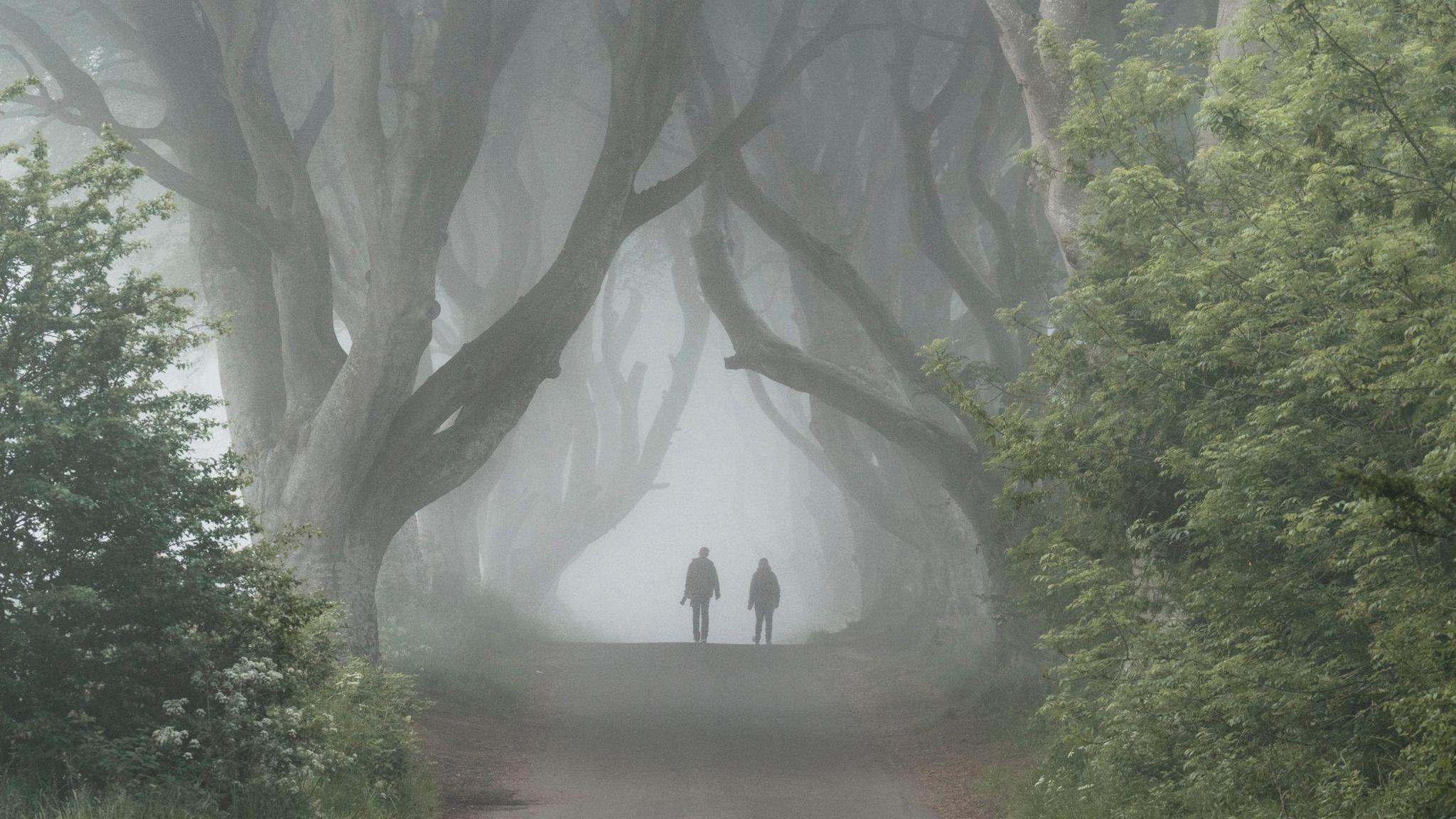 What&rsquo;s the difference between mist and fog? - BBC Newsround