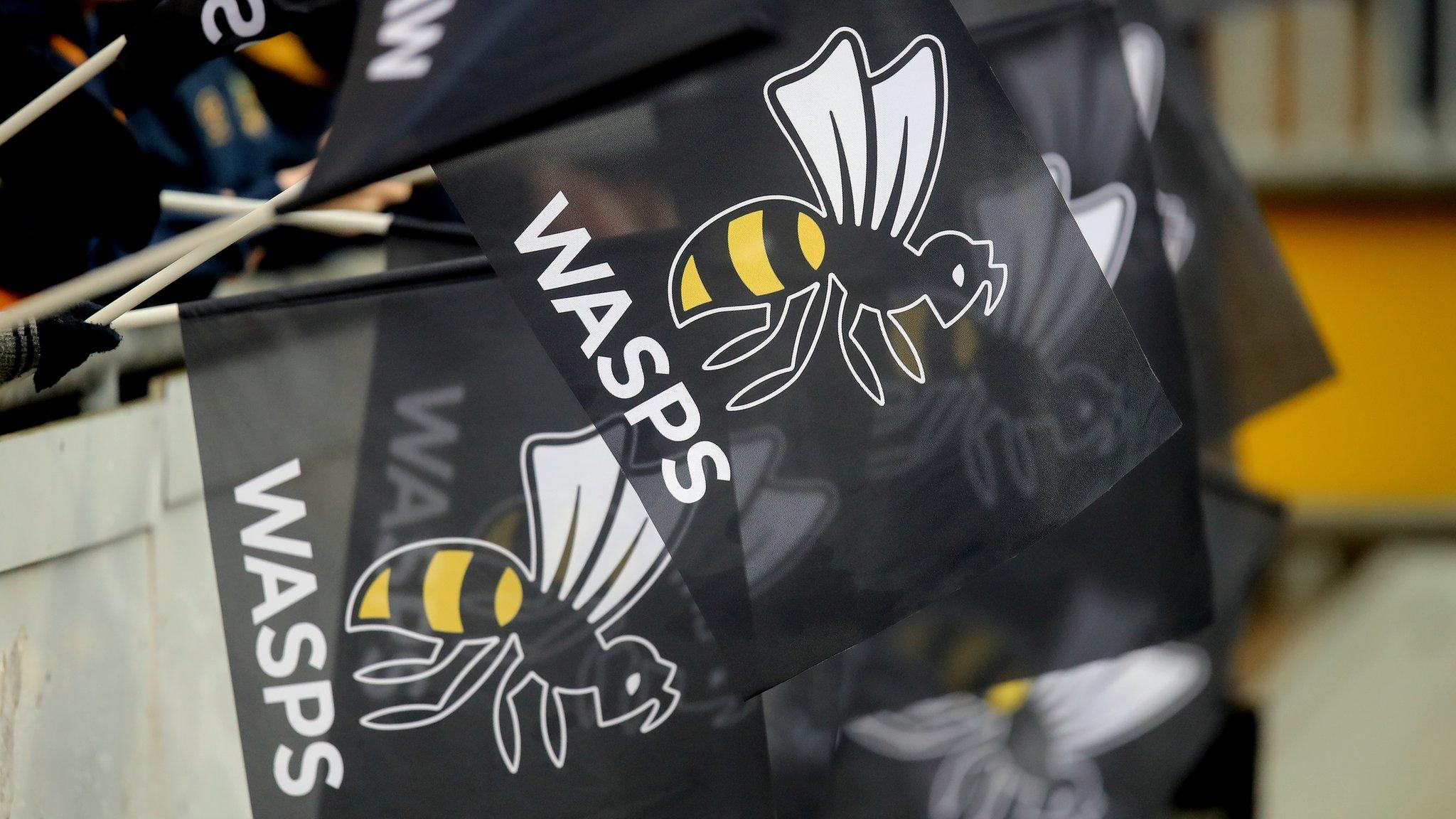 Wasps flags