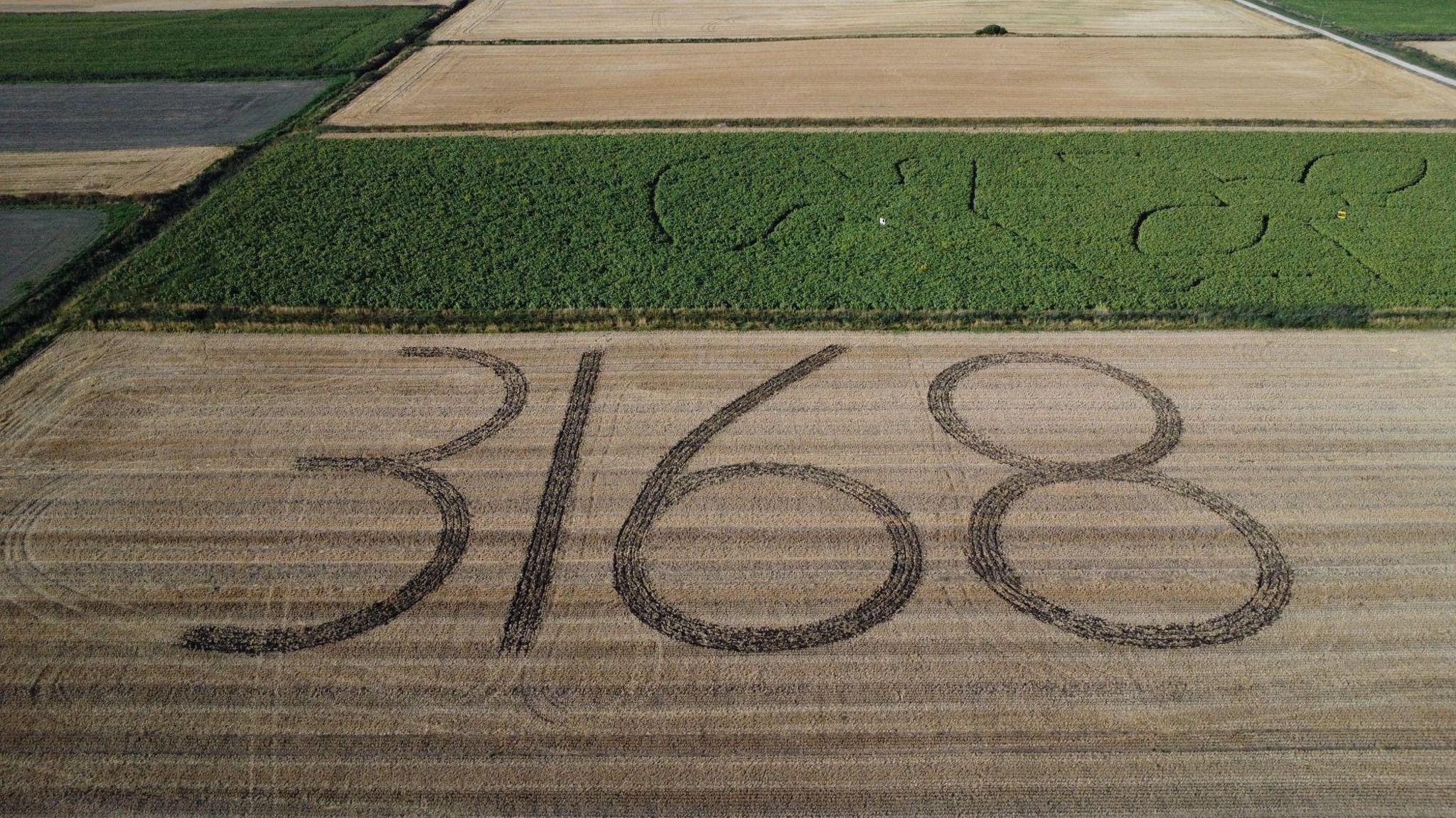 An aerial shot of the number "3168" created in a field by a tractor.