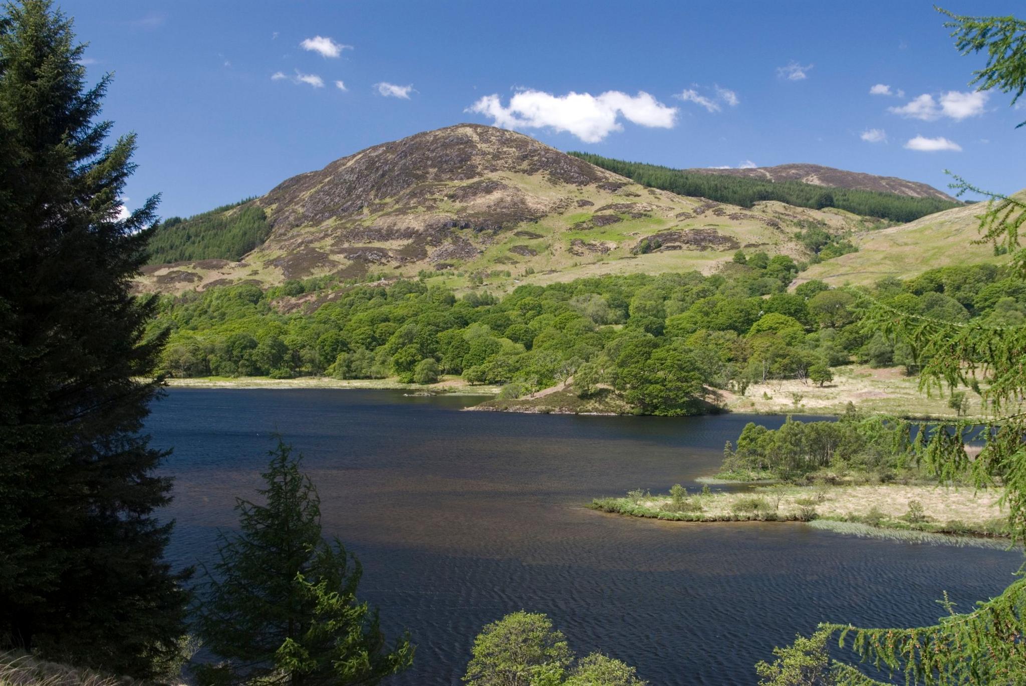 A hillside in Galloway with trees growing around a loch on a blue-sky day