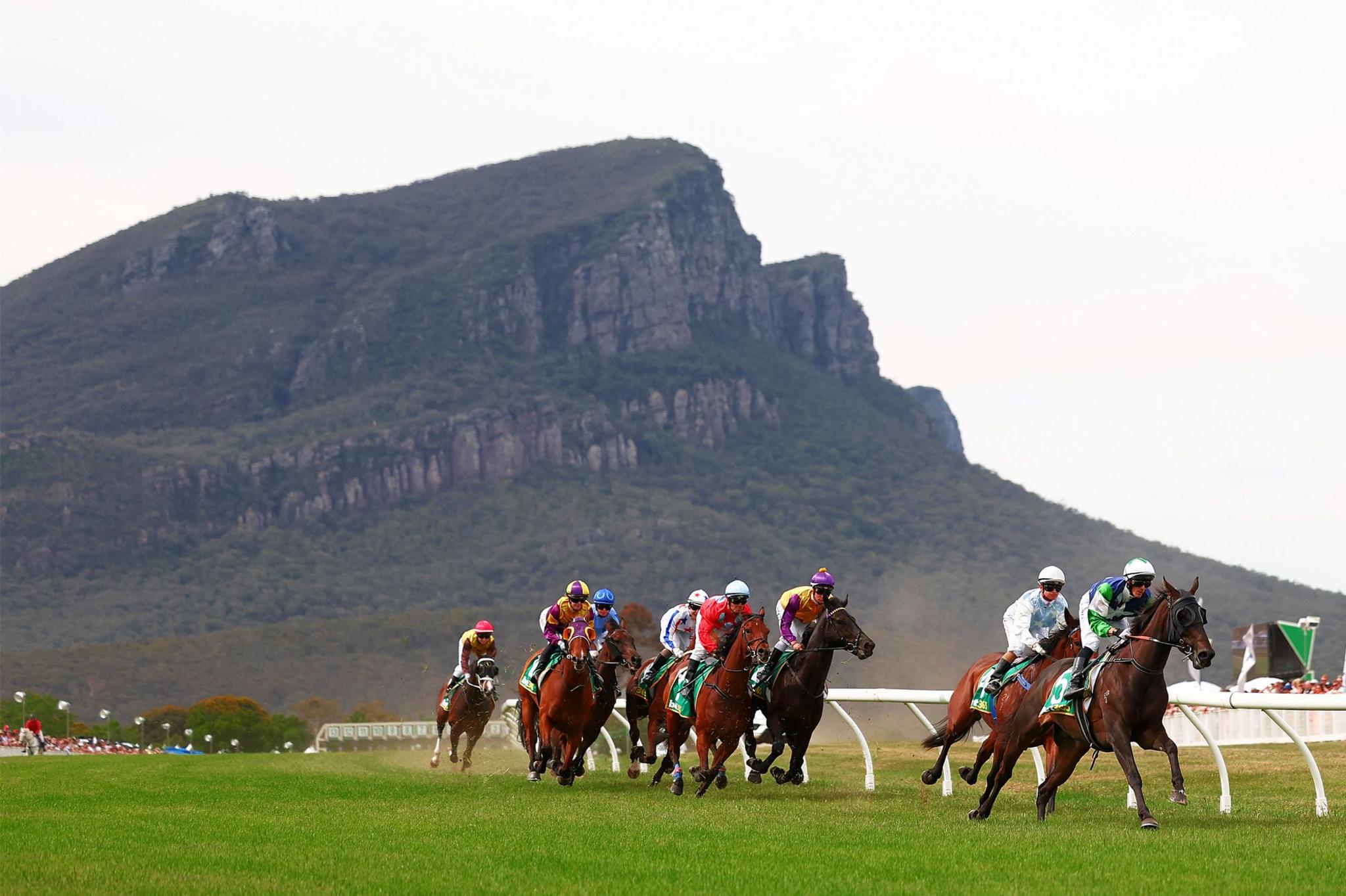 Jockeys ride horses around the first bend of the William Thomson Dunkeld Cup which was won by Jack Hill riding Rhinoceros on 16 November 2024 in Dunkeld, Australia.