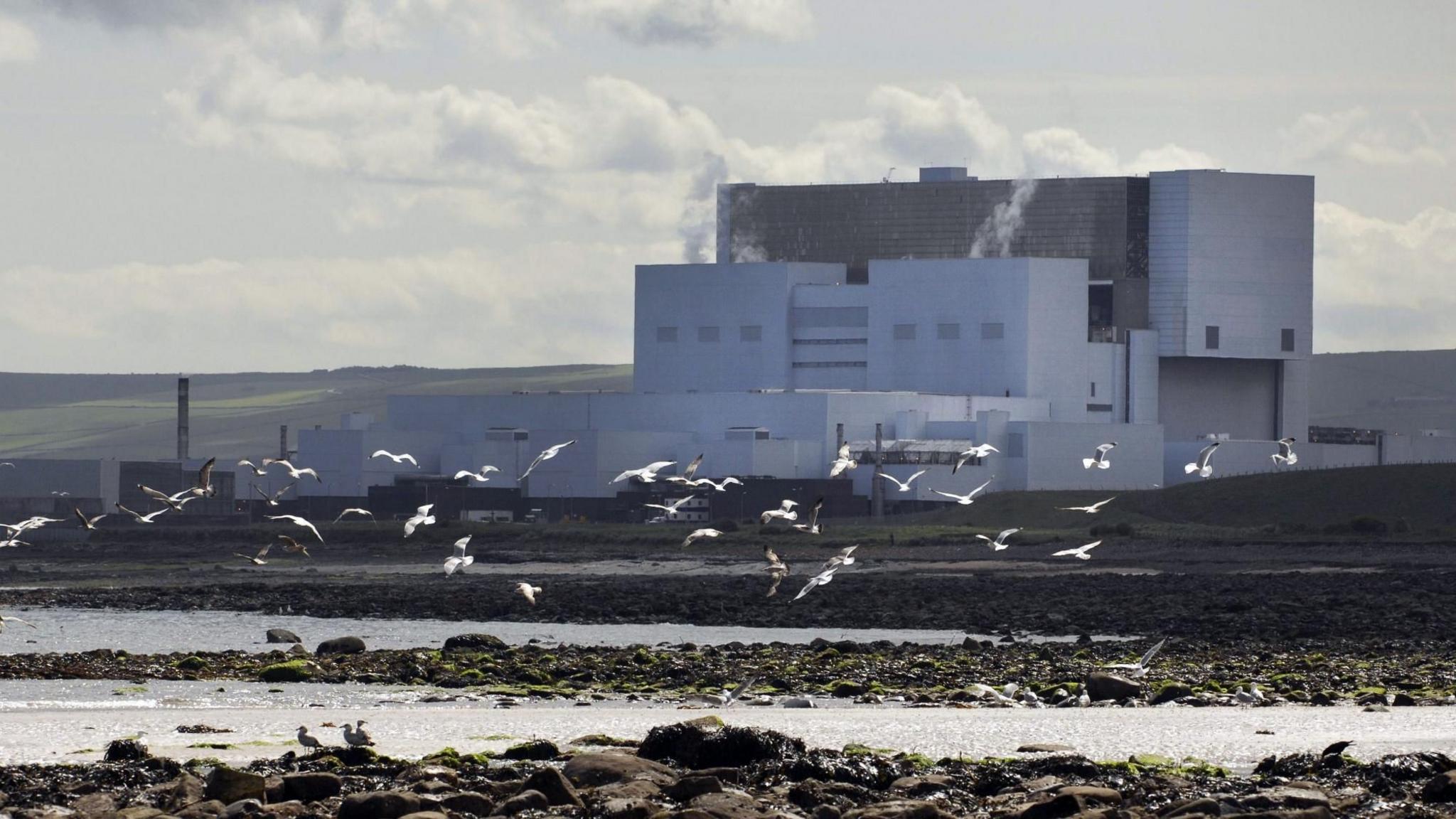 Torness power station, a large grey rectangular building on the shore with birds flying in the foreground