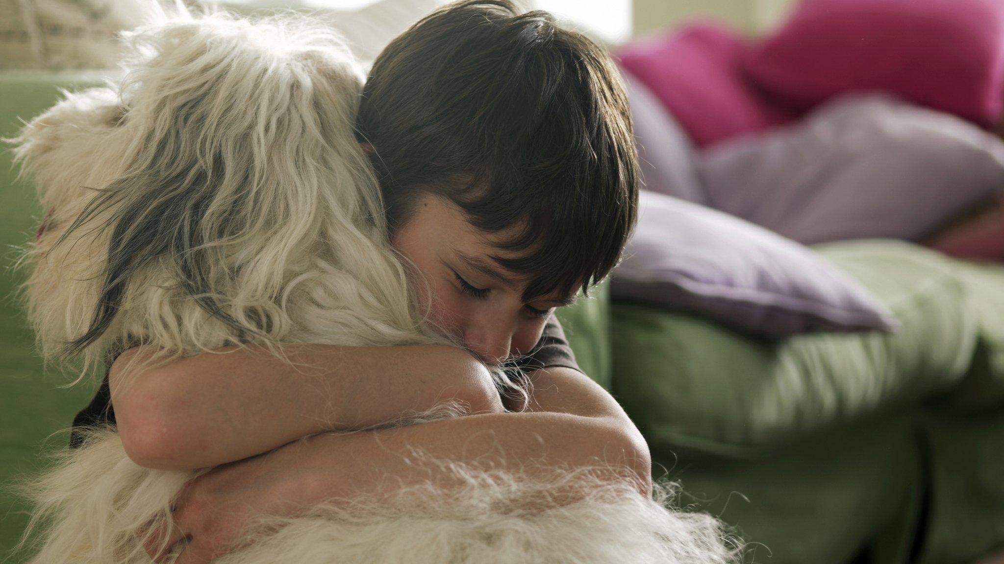 boy-and-pet-dog.