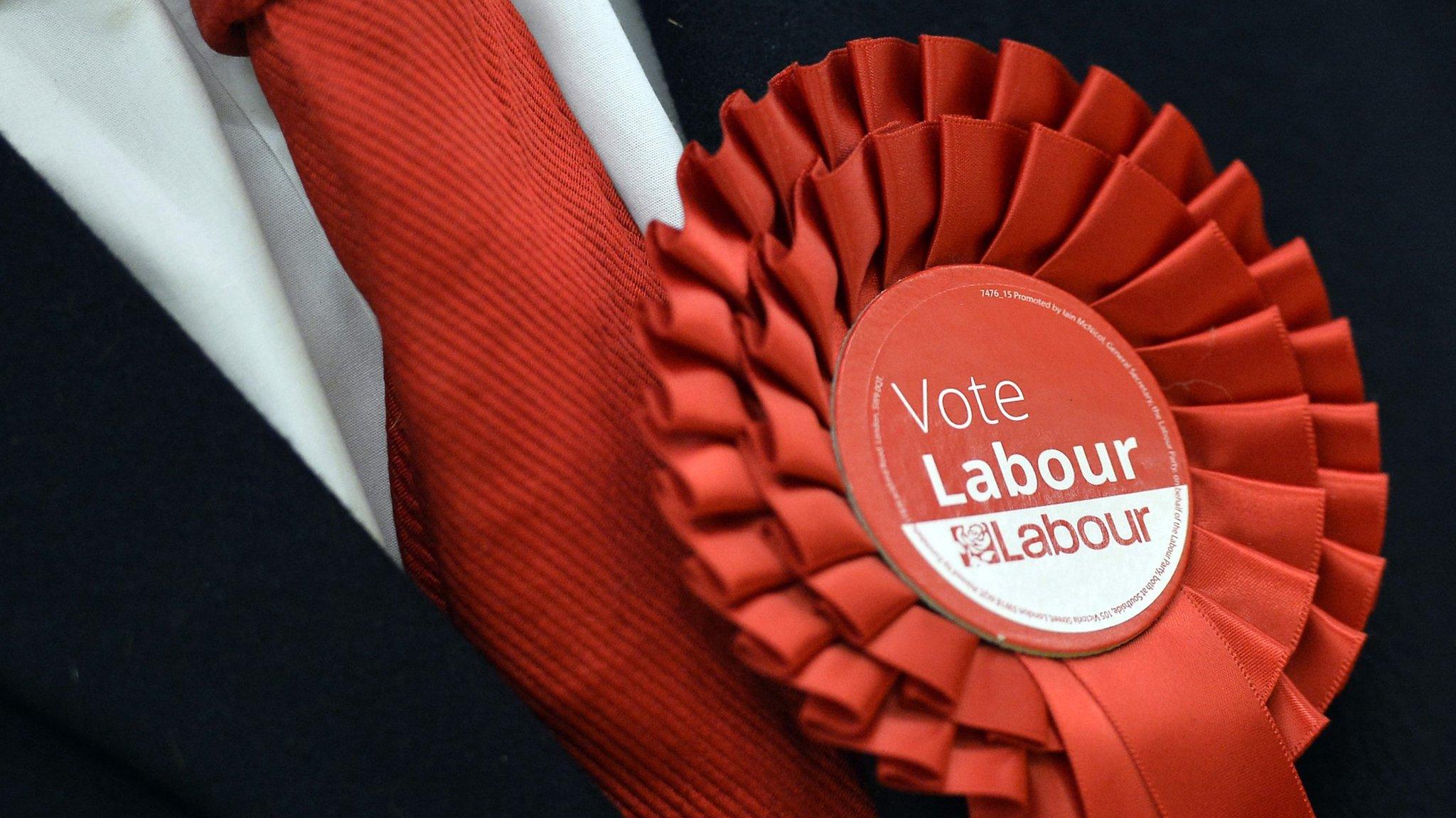 Labour rosette