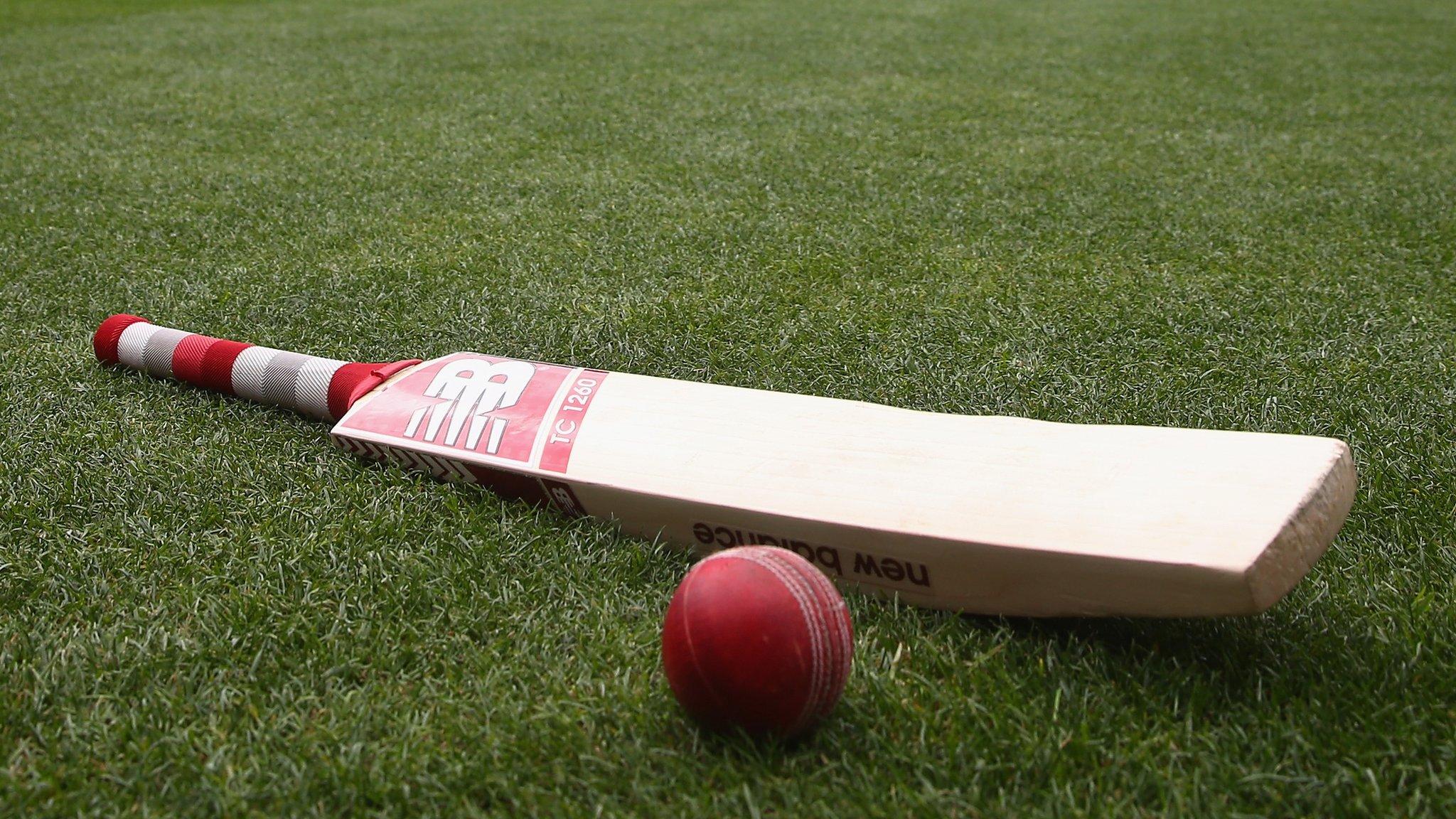 A cricket bat and ball