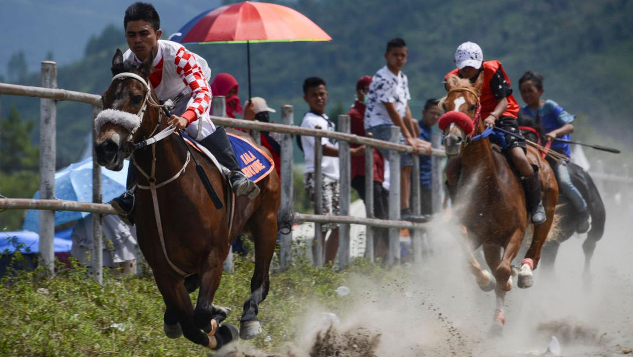 Young jockeys race in Indonesia