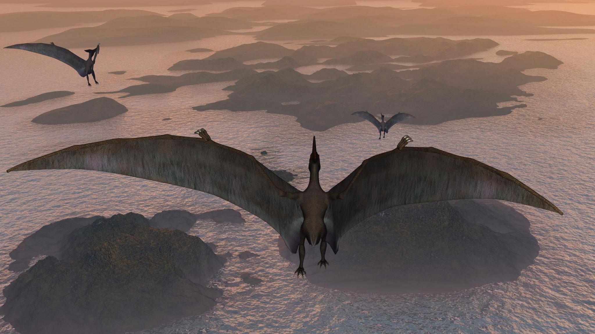 Pterosaurs flying across some islands