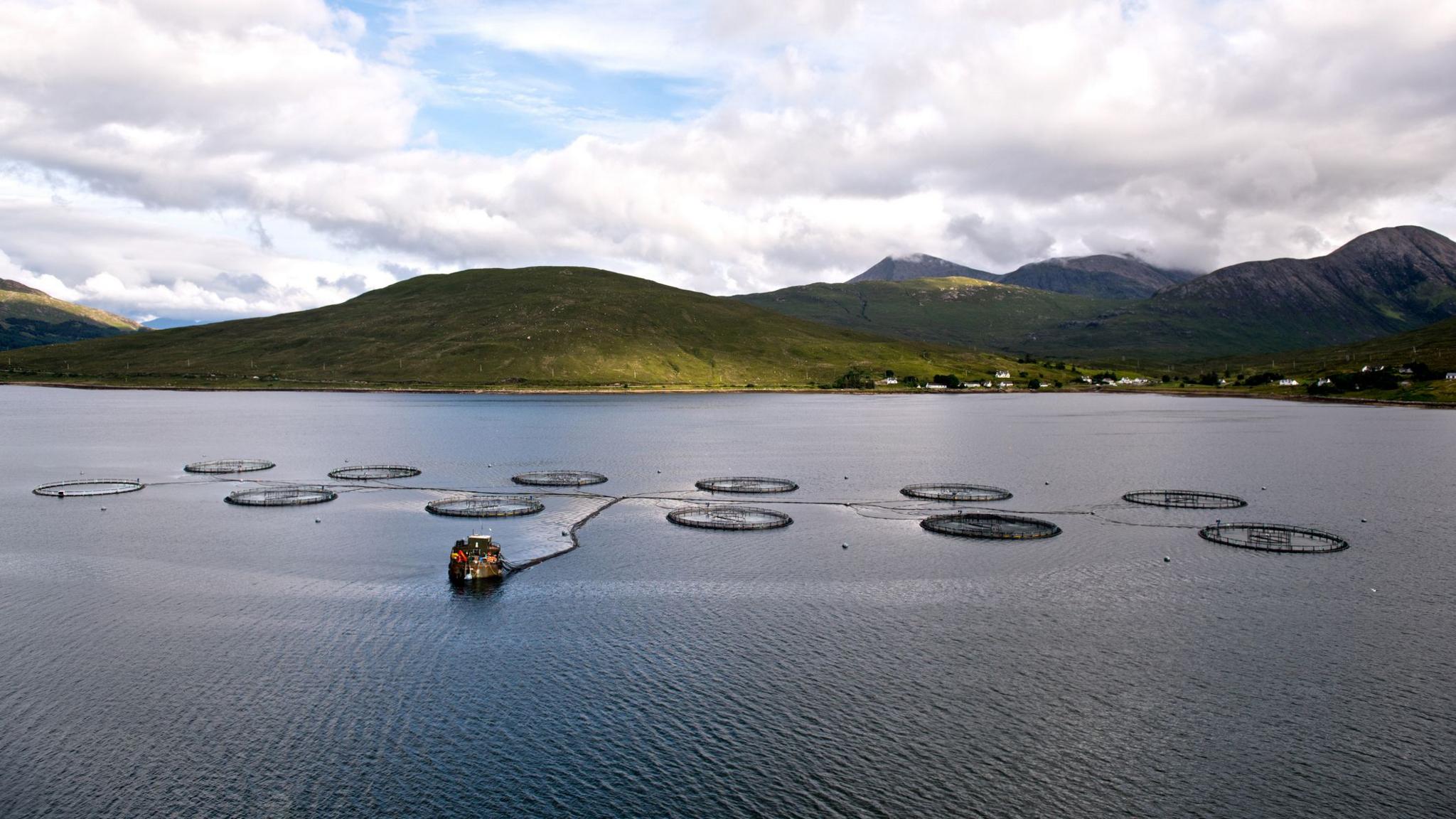 Fish pens in water with a small boat heading to towards the camera and hills in the background