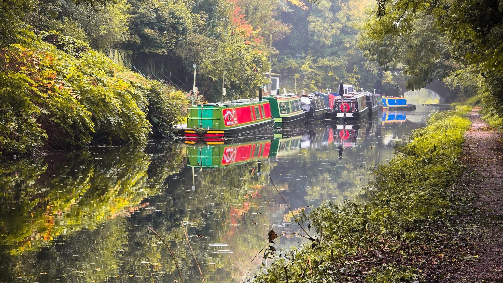 Seven narrowboats in various colours on a stretch of canal surrounded by bushes on one side and tow path on the other. A bridge is visible in the distance.