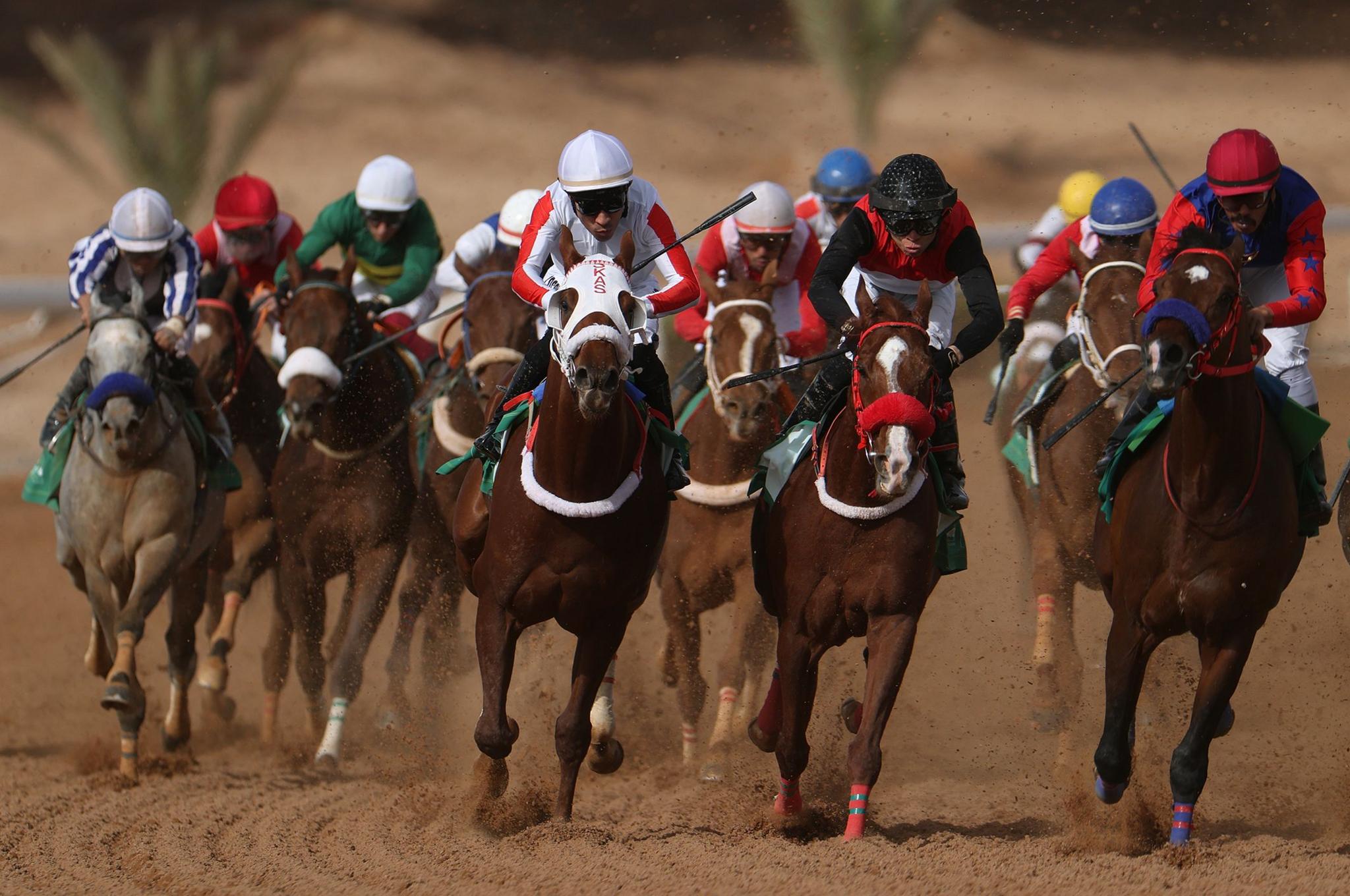 Riders competing during the Jockey Club local Handicap race during the Saudi cup in Riyadh, Saudi Arabia