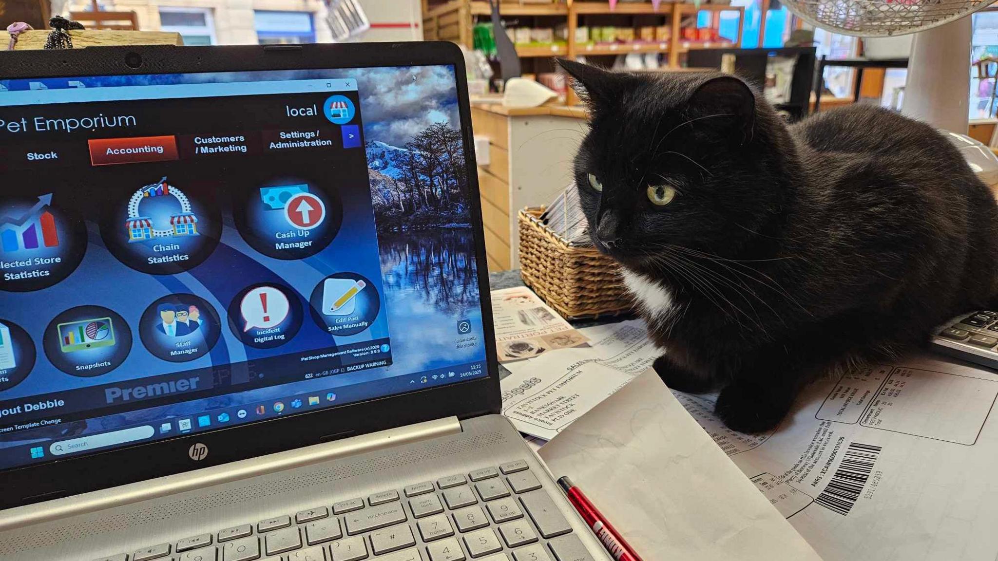Polo sat on the desk at Tavistock Pet Emporium. He sat to the right of a laptop.