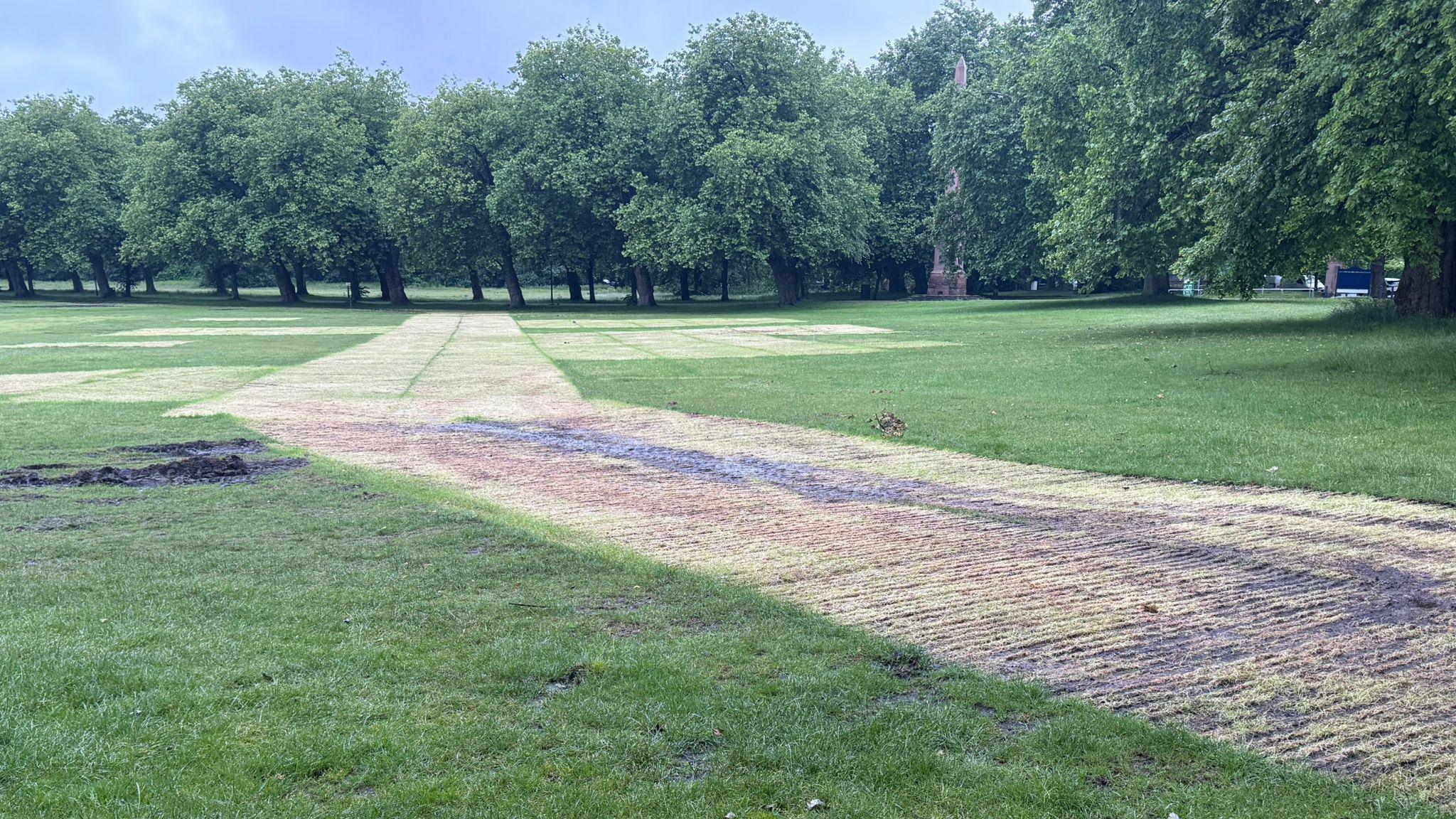 Large area of yellow grass with vehicle marks in muddy patches. A line of green tress and green grass is in the distance.
