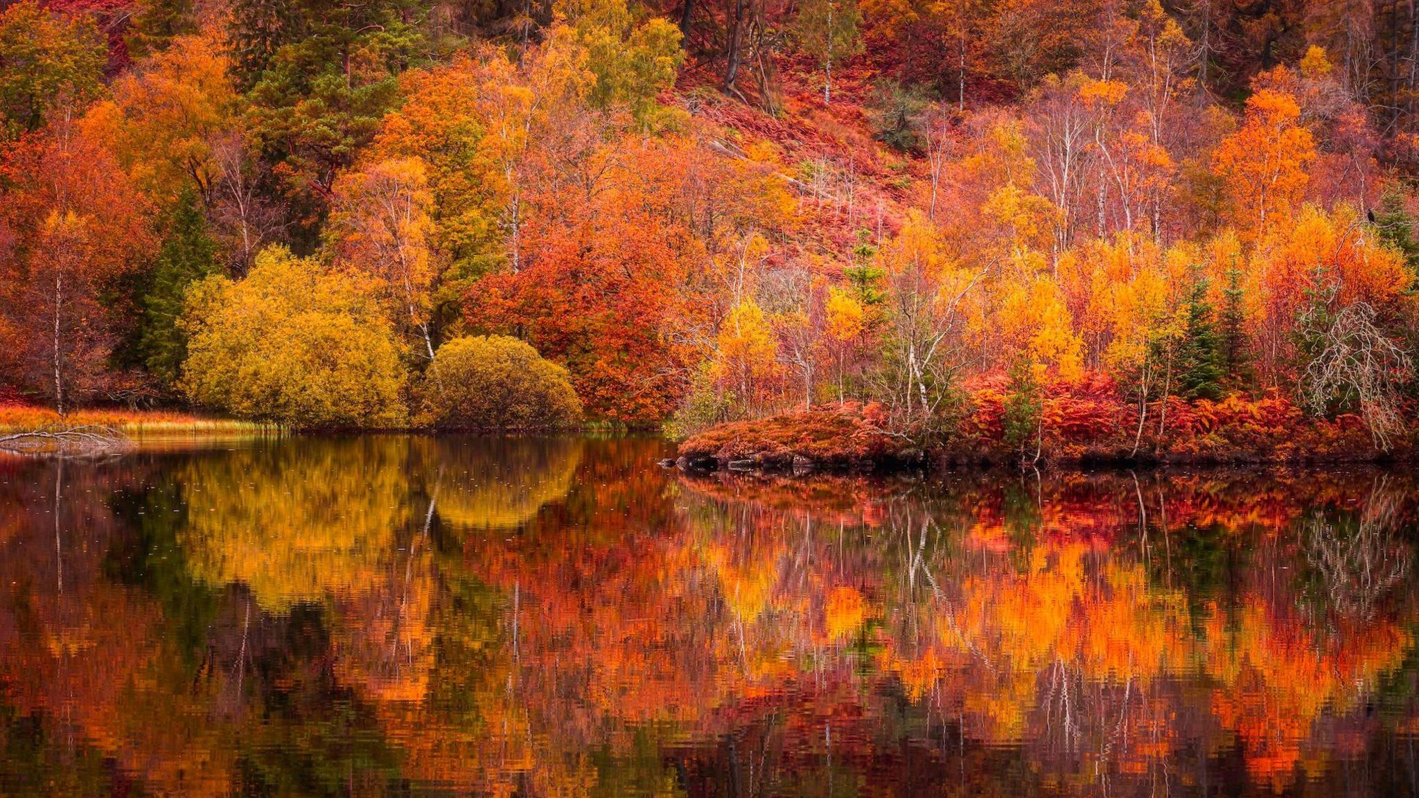 lots of colourful autumn trees by a lake which they are reflected into