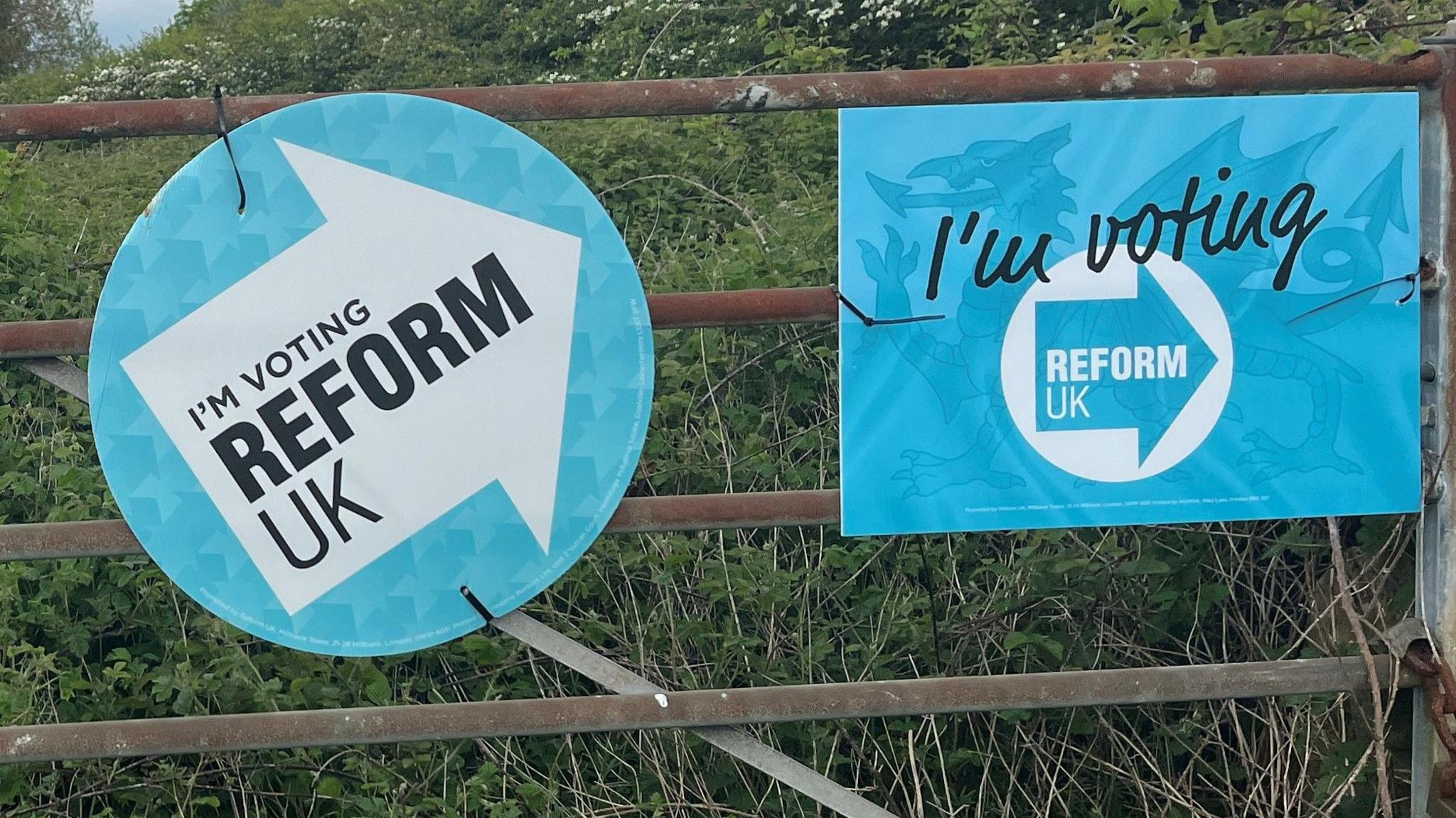 Arwyddion plaid Reform ger Aberdaugleddau 