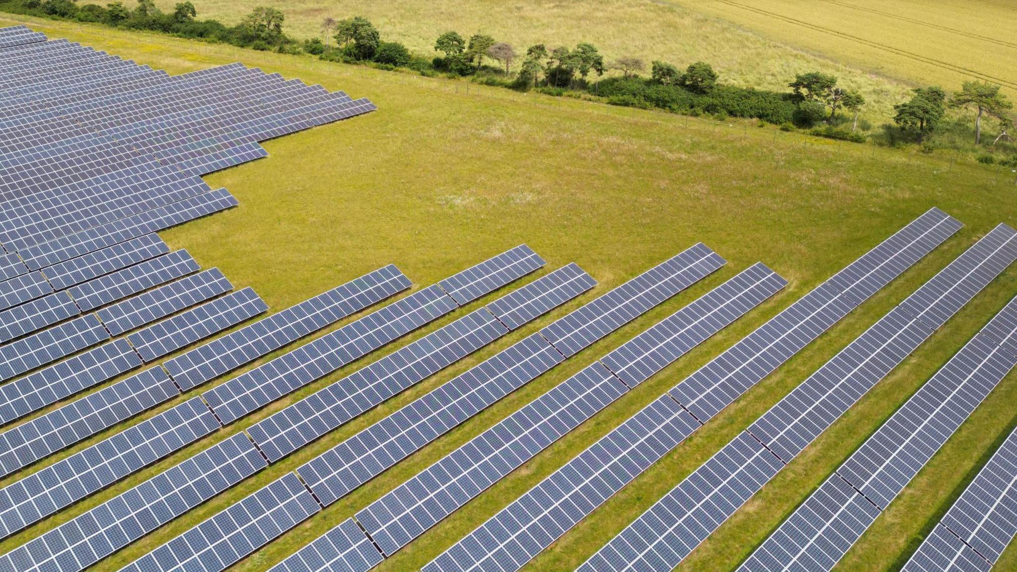 Multiple rows of solar panels in a green field with trees in background.