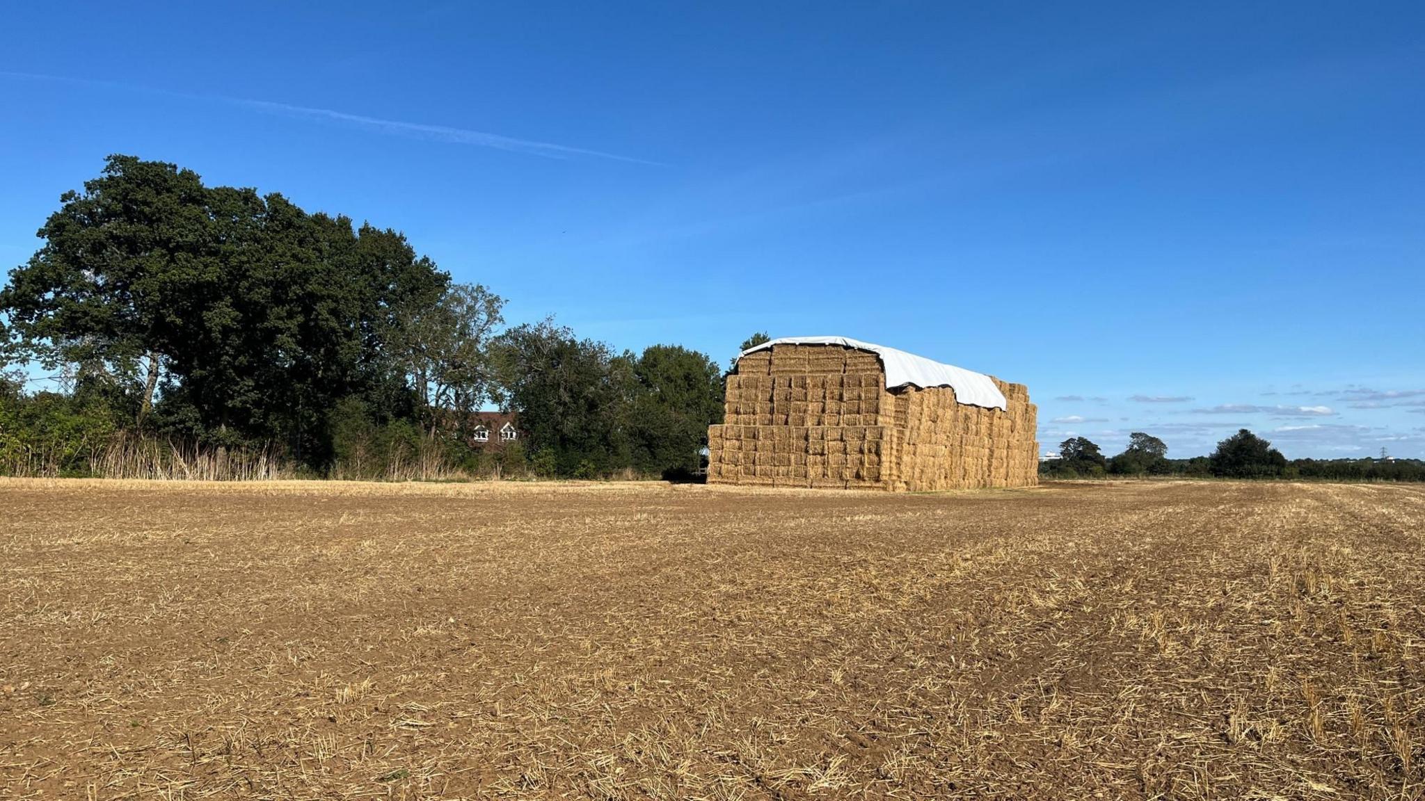 A view of the giant haystack from a public footpath. There are trees to the side of it with a house in the distance.