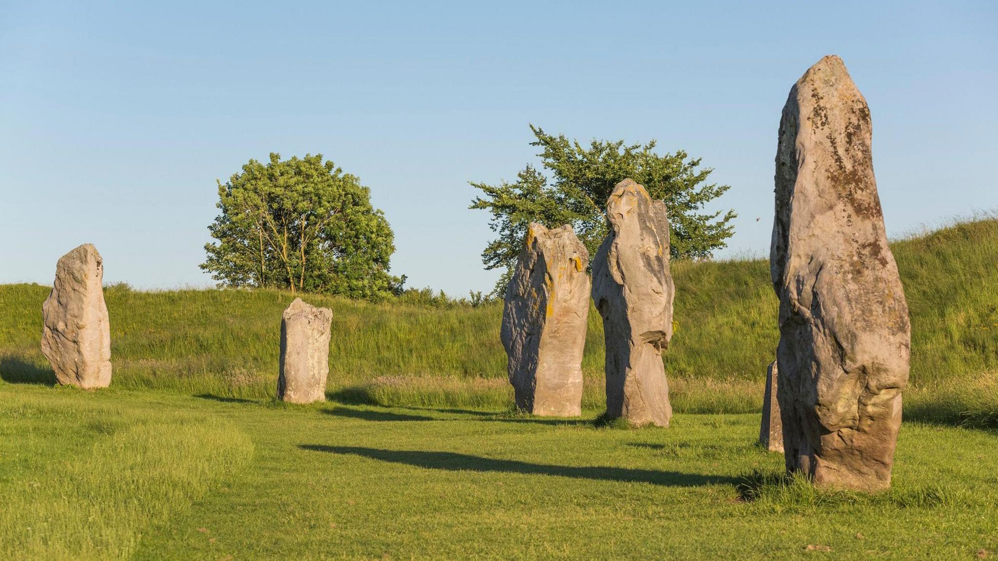 Part of the Avebury site on a sunny day under a blue sky. Five of the large standing stones are in the picture surrounded by green grass