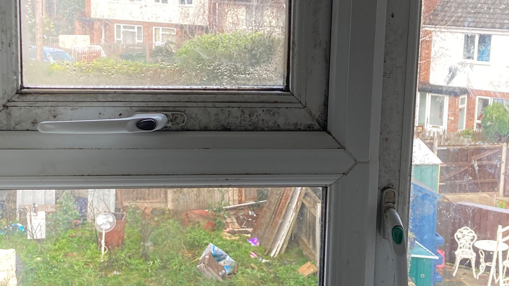 Mould on windowsill