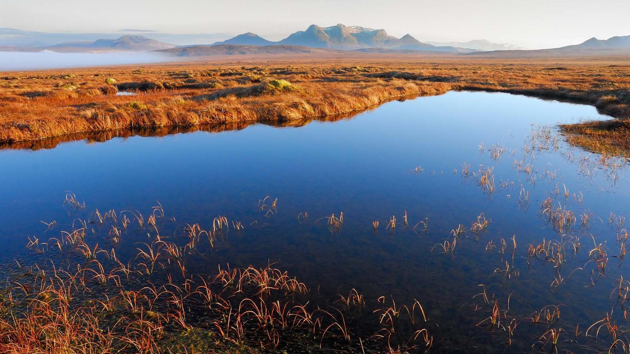 A pool of water in front of mossy, peat landscapes