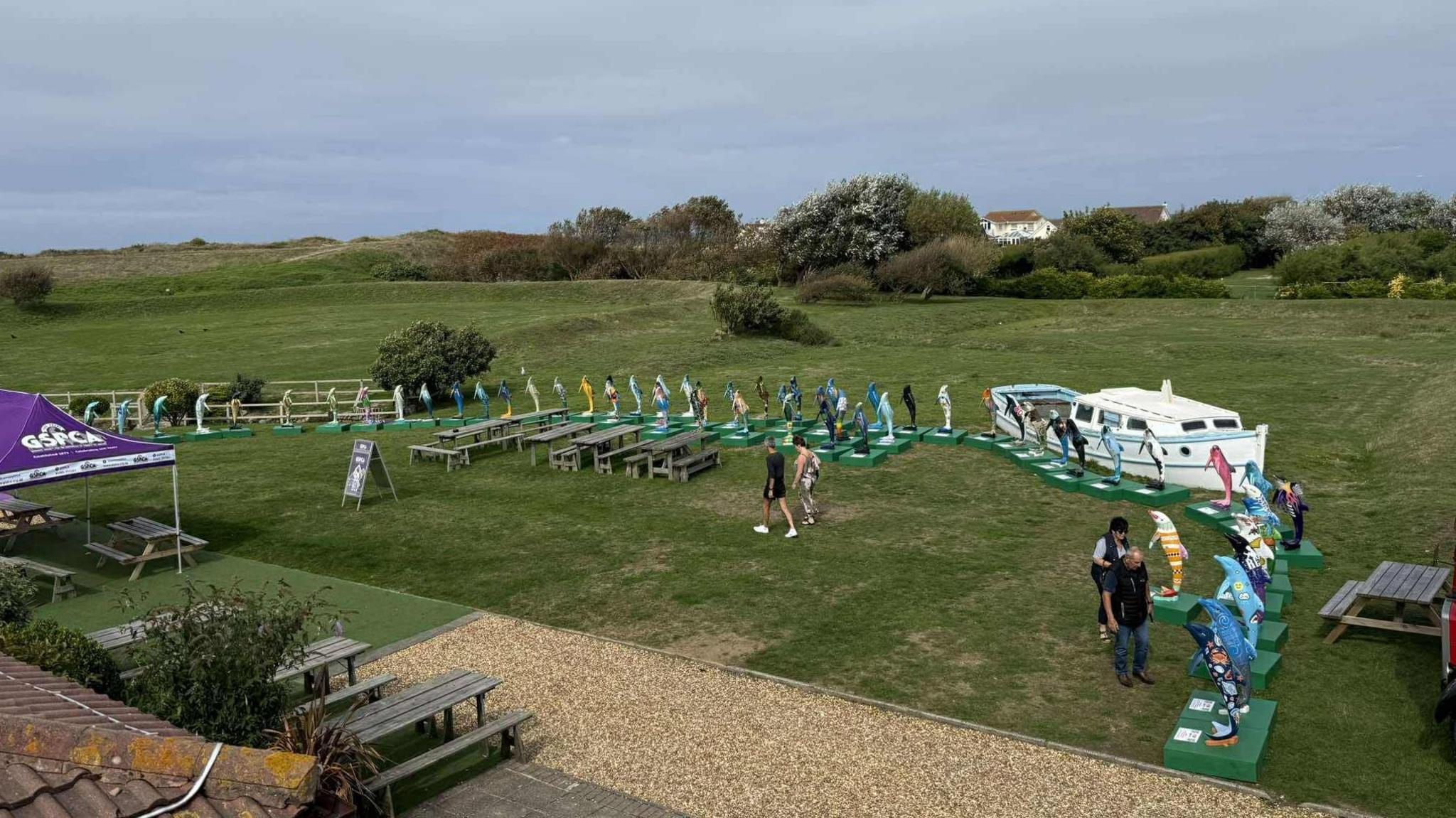 62 dolphin statues side by side in a semi-circle on green grass. There is a white boat in the right behind the dolphins. There are people walking around and looking at the dolphins. There are picnic benches in the middle.