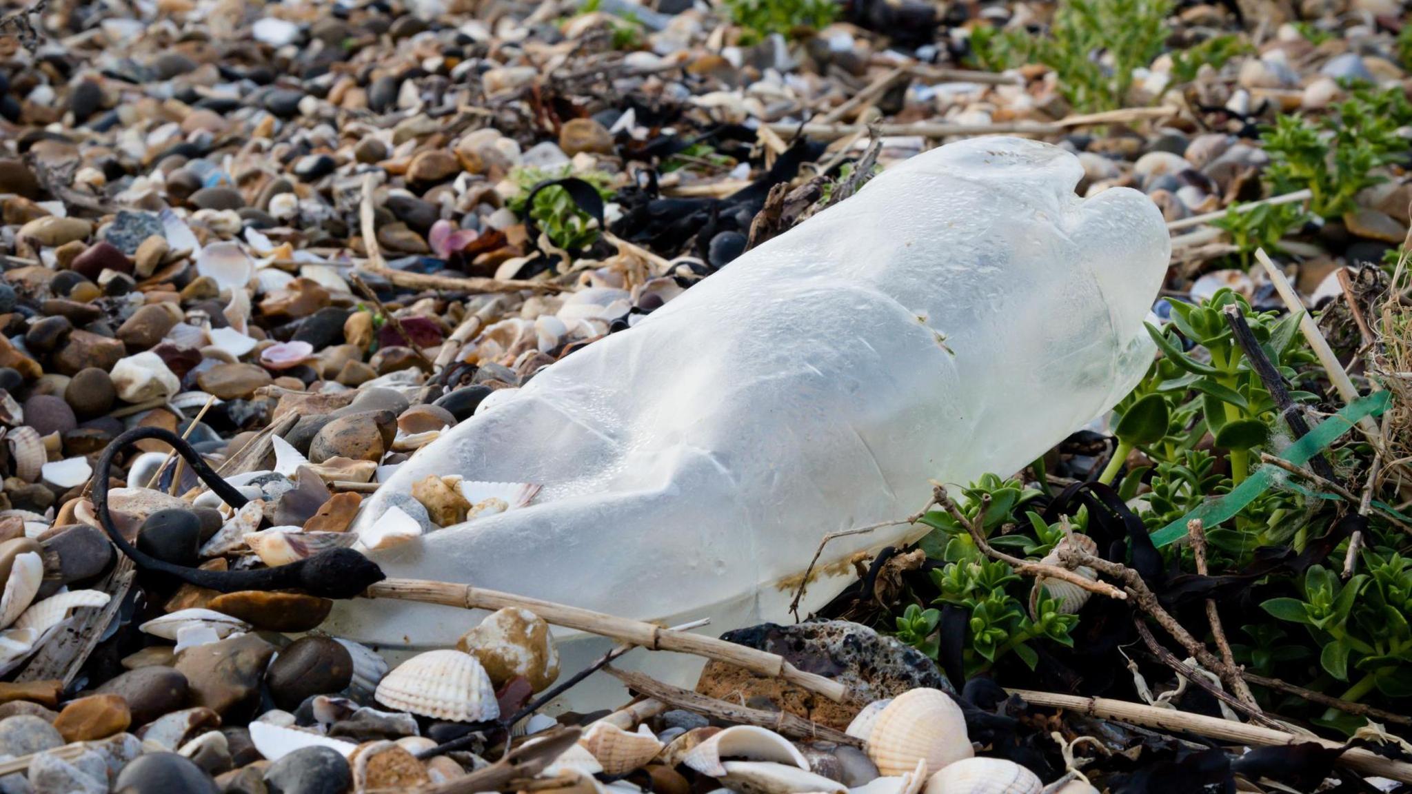 Plastic bottle on a pebbly beach