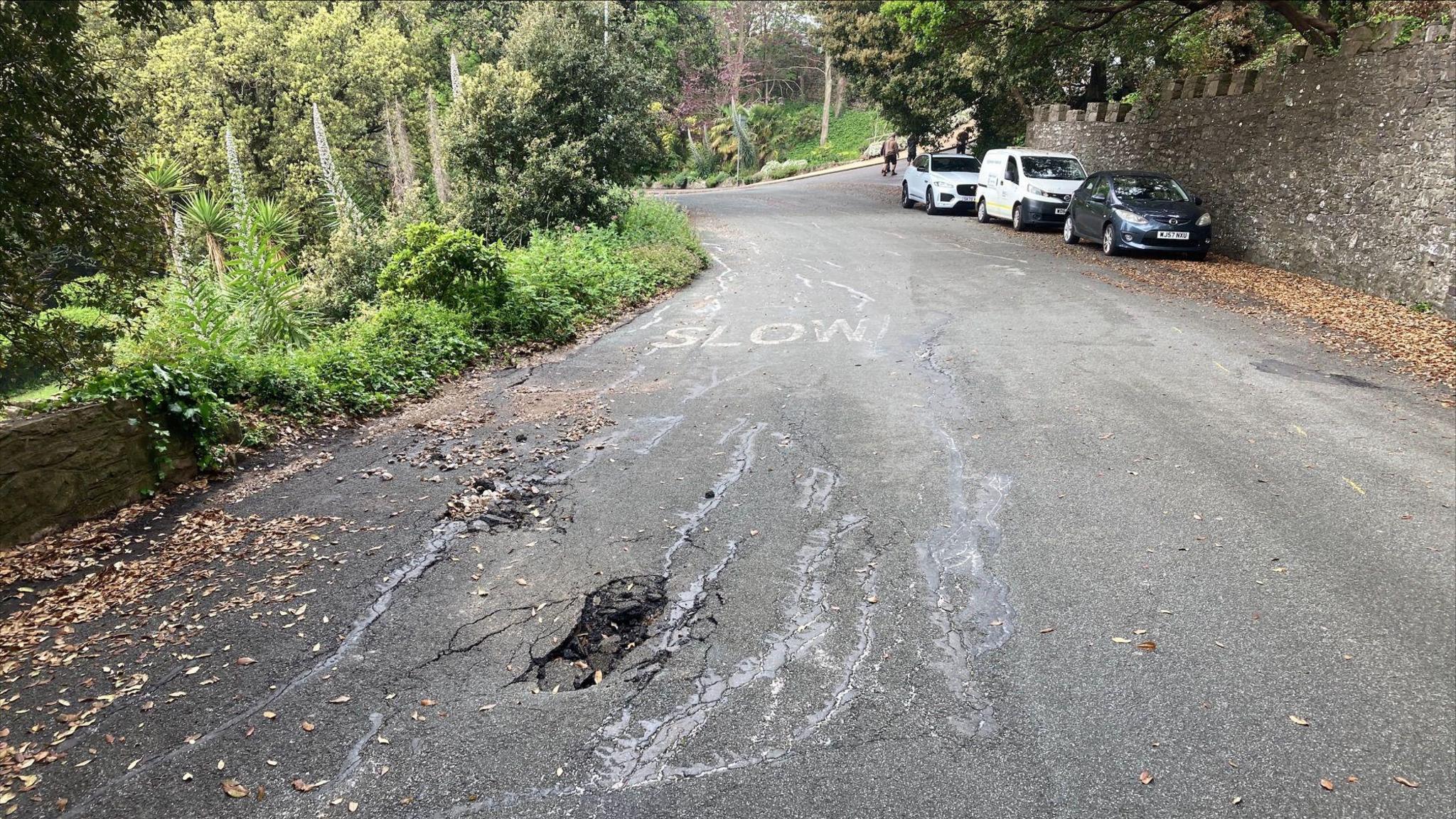 A road with a hole and fractures in it. There are three cars parked on the right-hand side and echium plants and other foliage on the left.