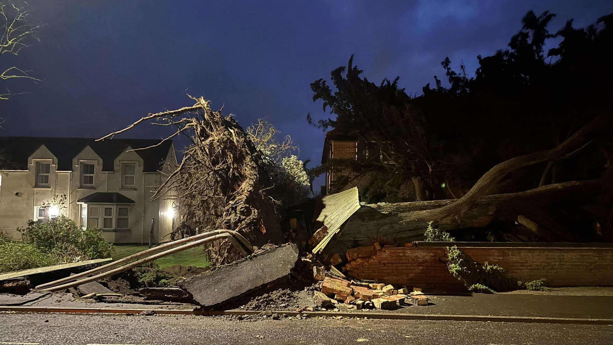 A tree has fallen across a garden wall. The roots are sticking out of the ground and the pavement is ripped open. In the background are two residential houses.