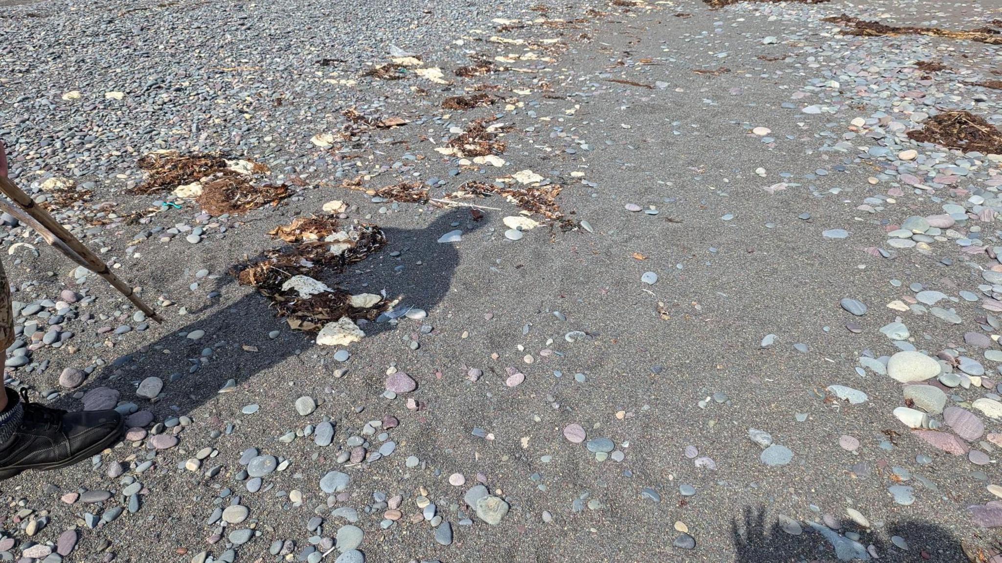 White blobs on beach