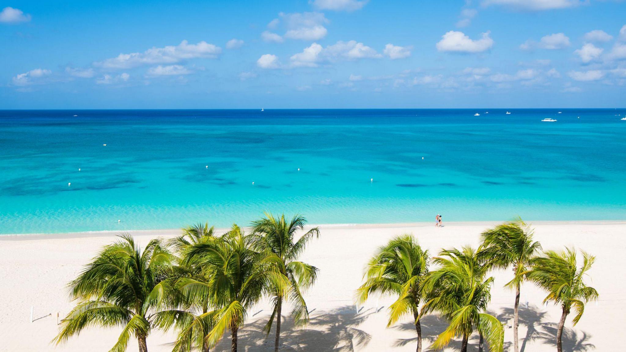 An aerial view of Seven Mile Beach lined with palm trees and turquoise water.