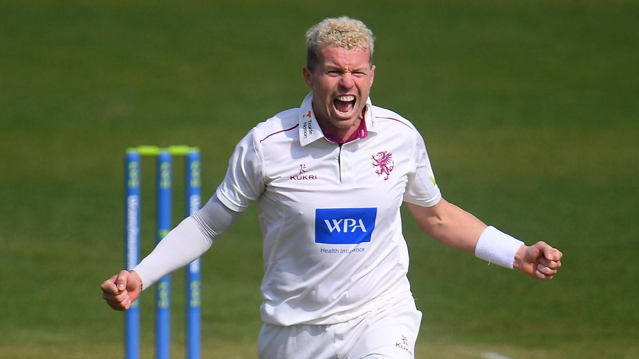 Peter Siddle celebrates for Somerset