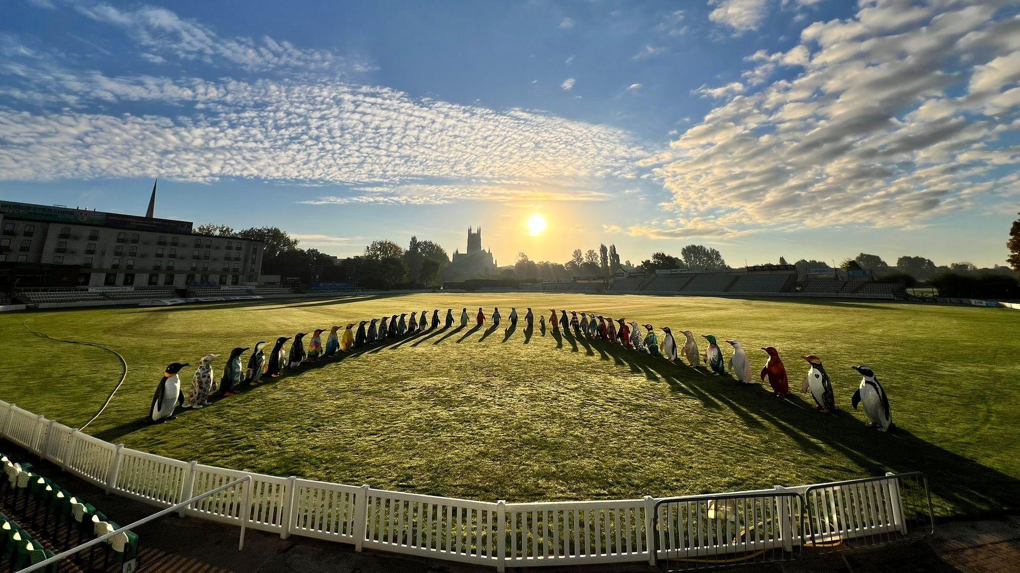 Dozens of colourful penguin statues lined up on a cricket field