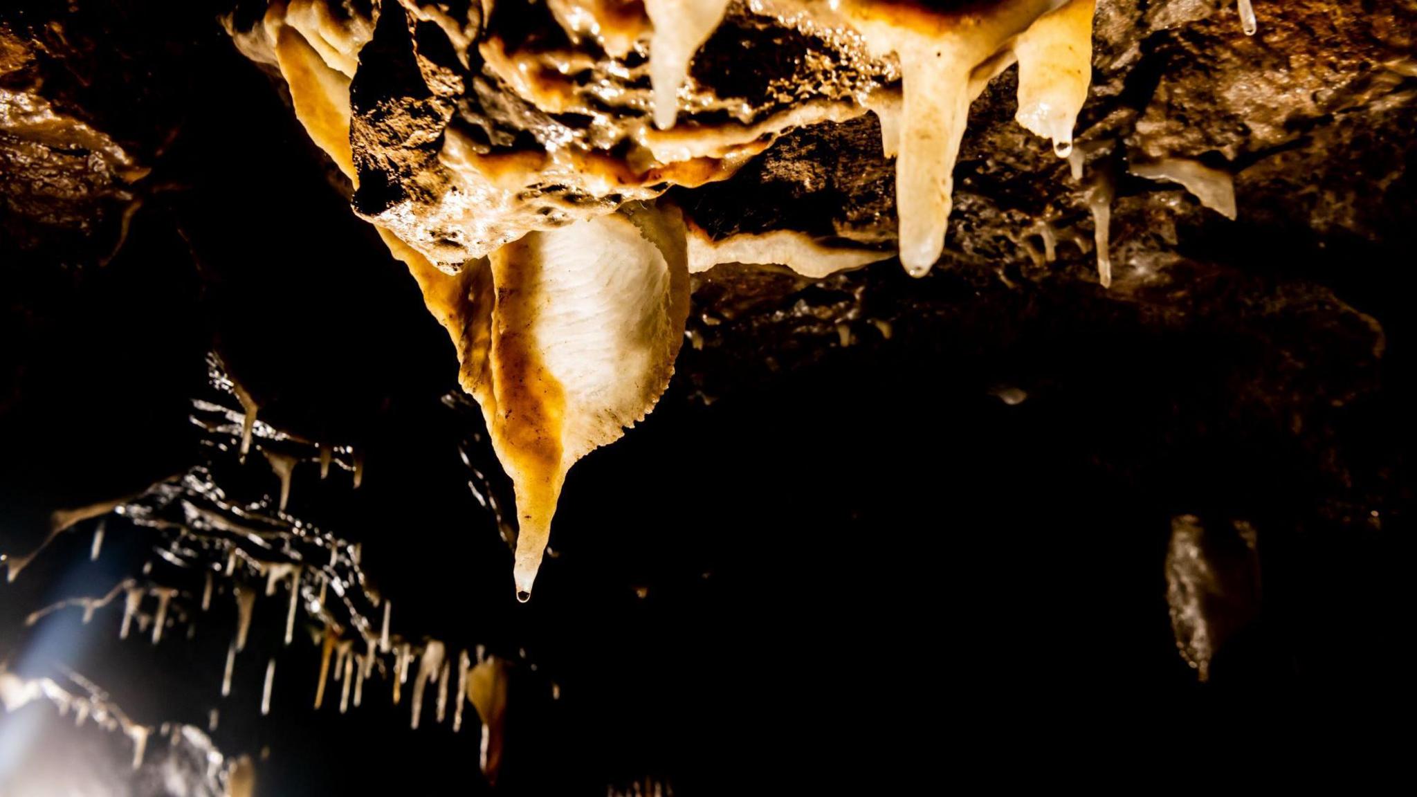 Mineral formations on the roof of a dark cave.